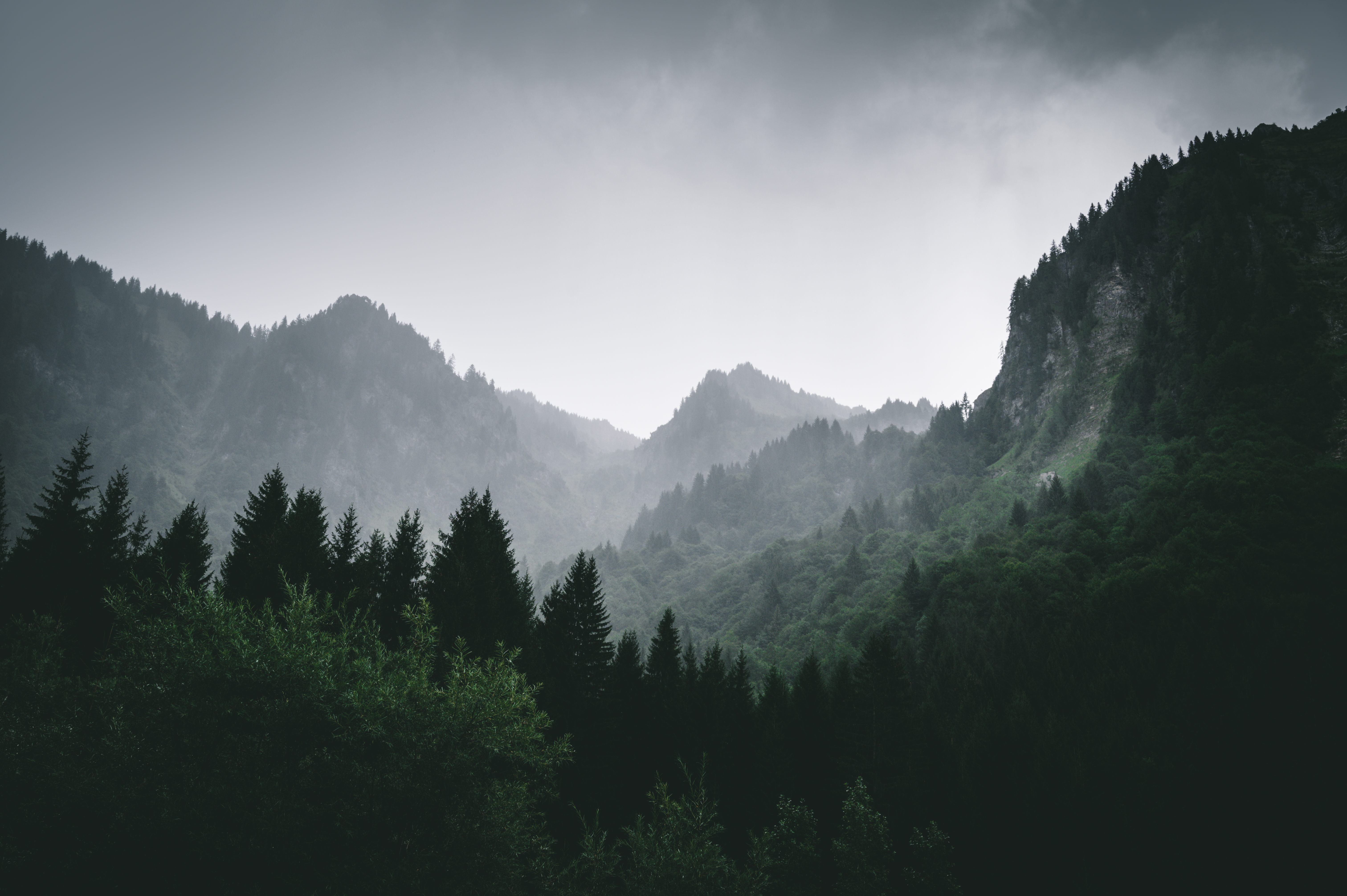 146996 завантажити картинку гори, природа, пейзаж, ліс, туман - шпалери і заставки безкоштовно