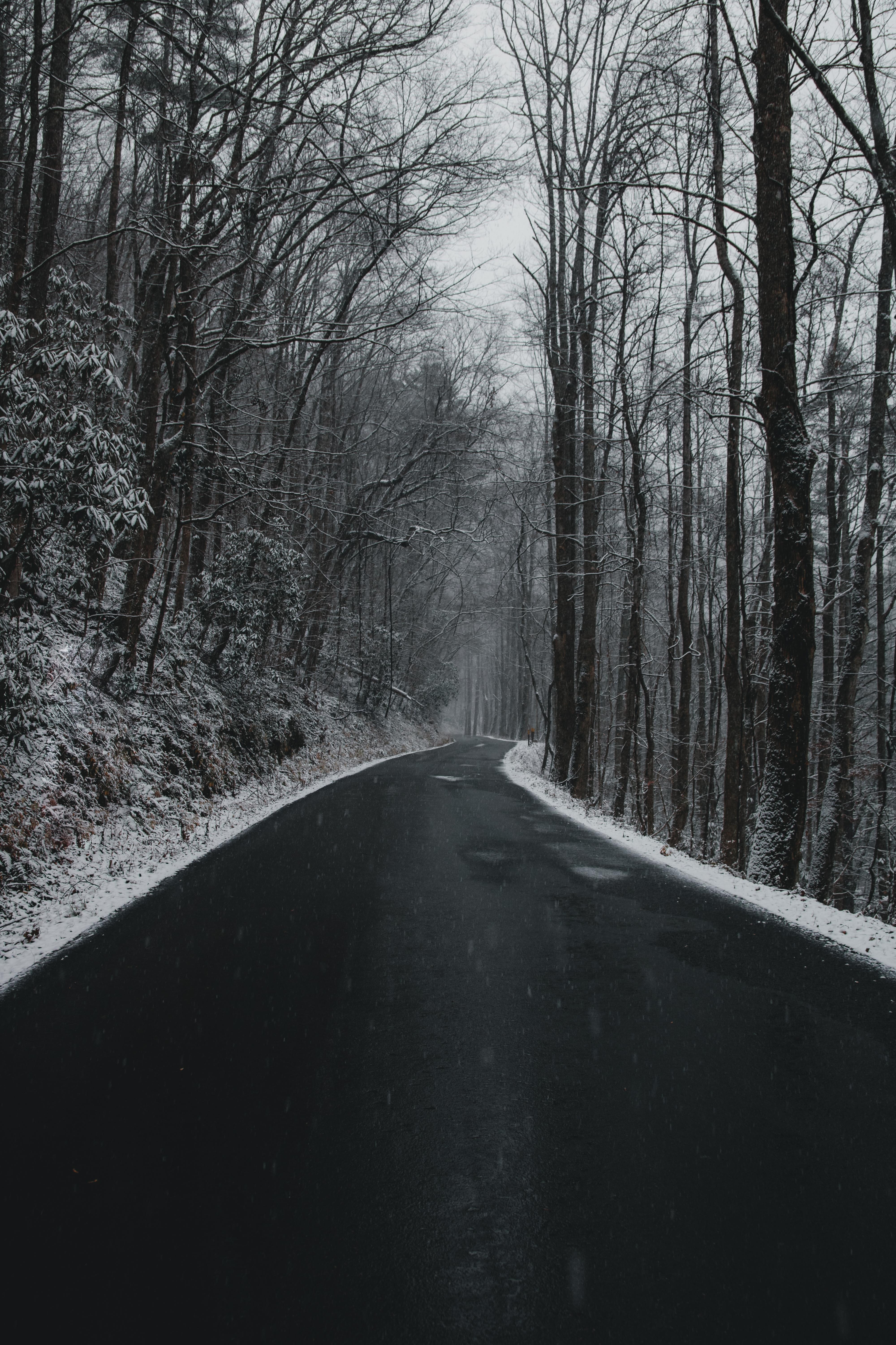 Download mobile wallpaper Mainly Cloudy, Overcast, Snow, Road, Nature, Turn, Trees for free.
