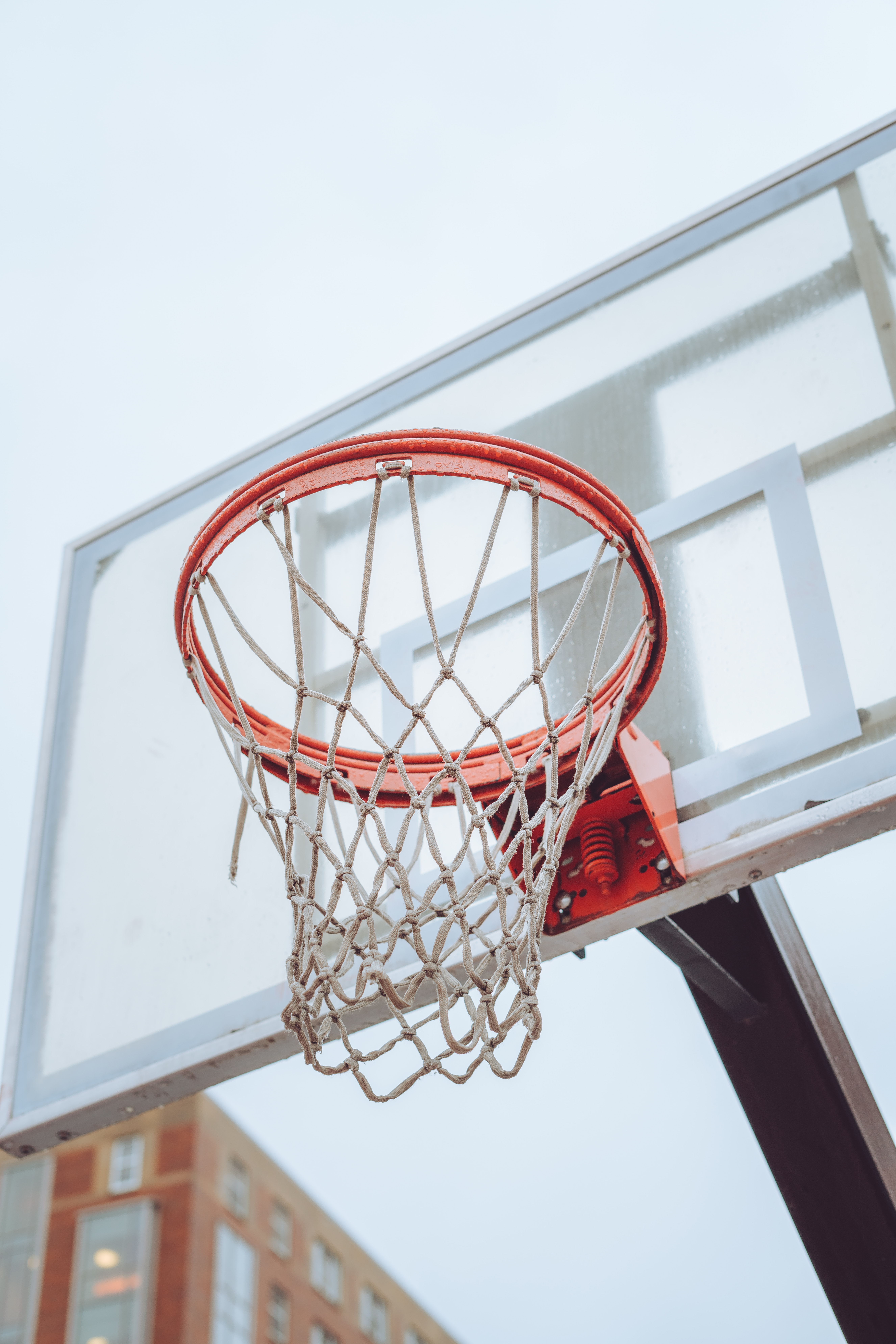 basketball hoop, sports, basketball, shield, grid, ring, basketball ring, scute