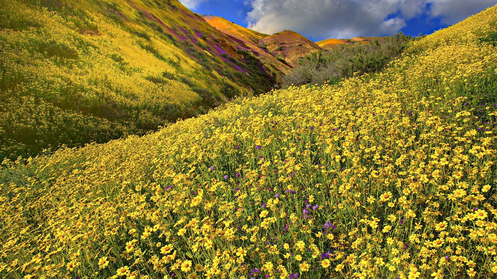 Free download wallpaper Landscape, Earth on your PC desktop