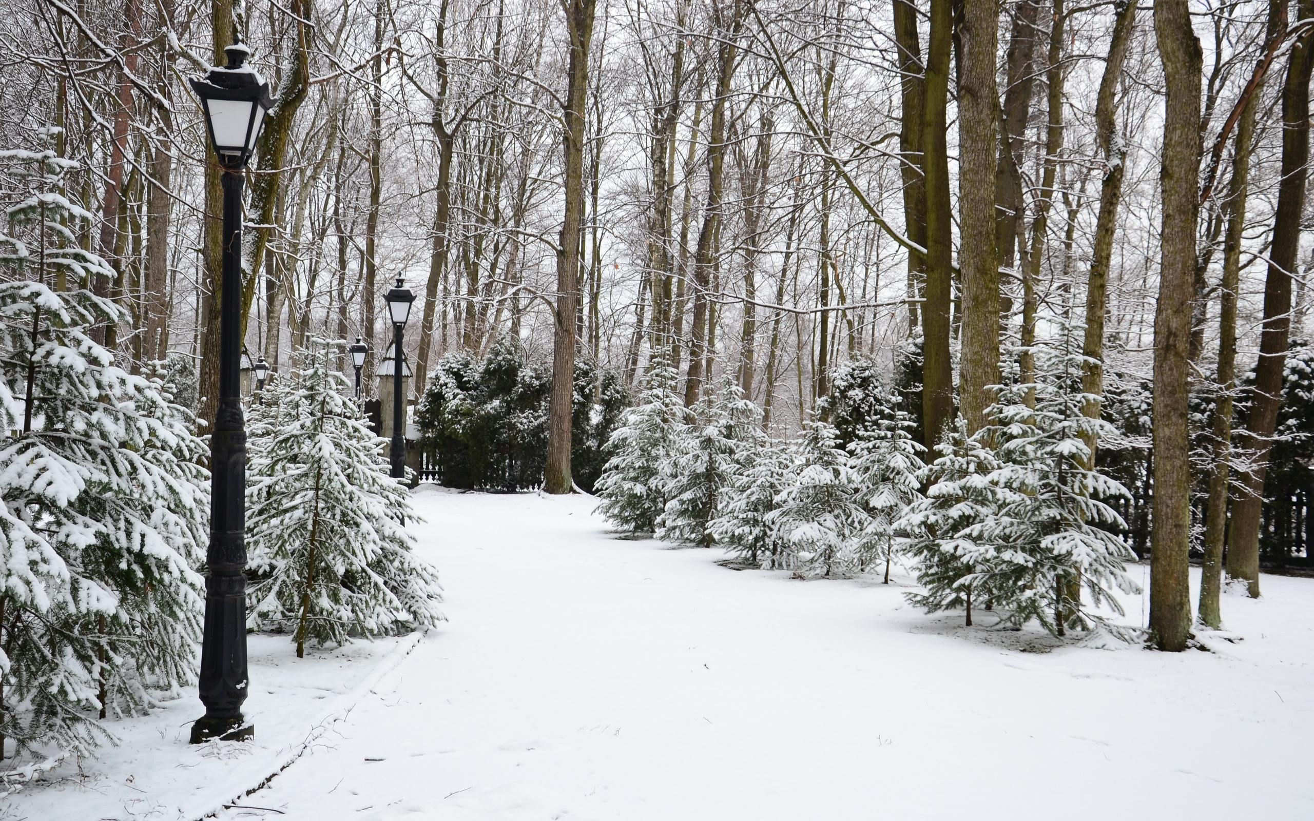 Descarga gratis la imagen Invierno, Fotografía en el escritorio de tu PC