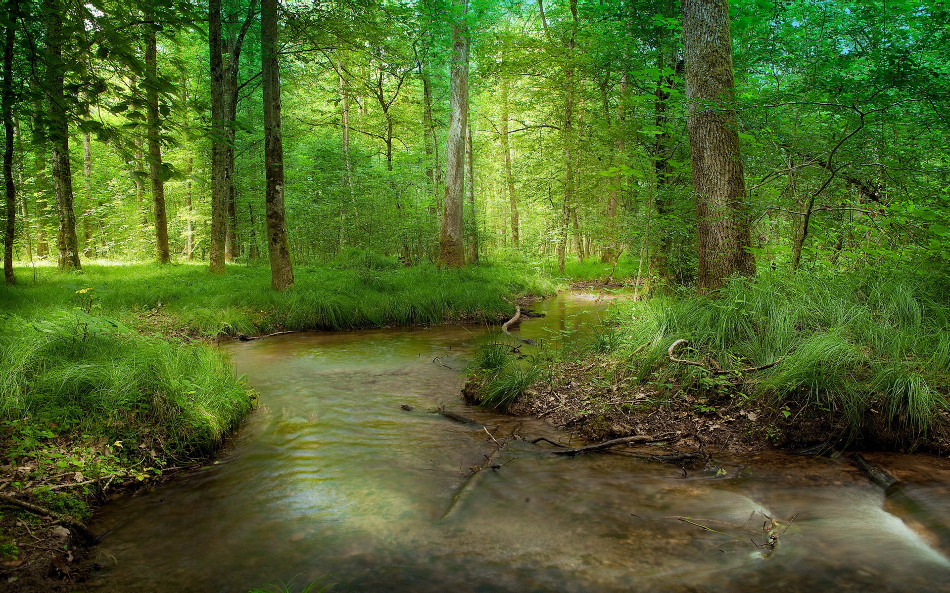 Скачать обои бесплатно Природа, Лес, Зеленый, Ручей, Земля/природа картинка на рабочий стол ПК