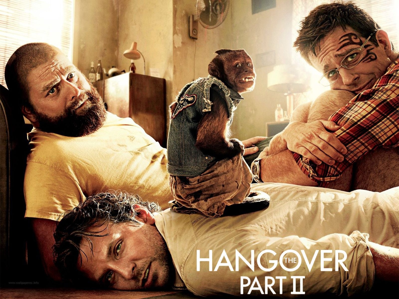 movie, the hangover part ii, bradley cooper, ed helms, zach galifianakis