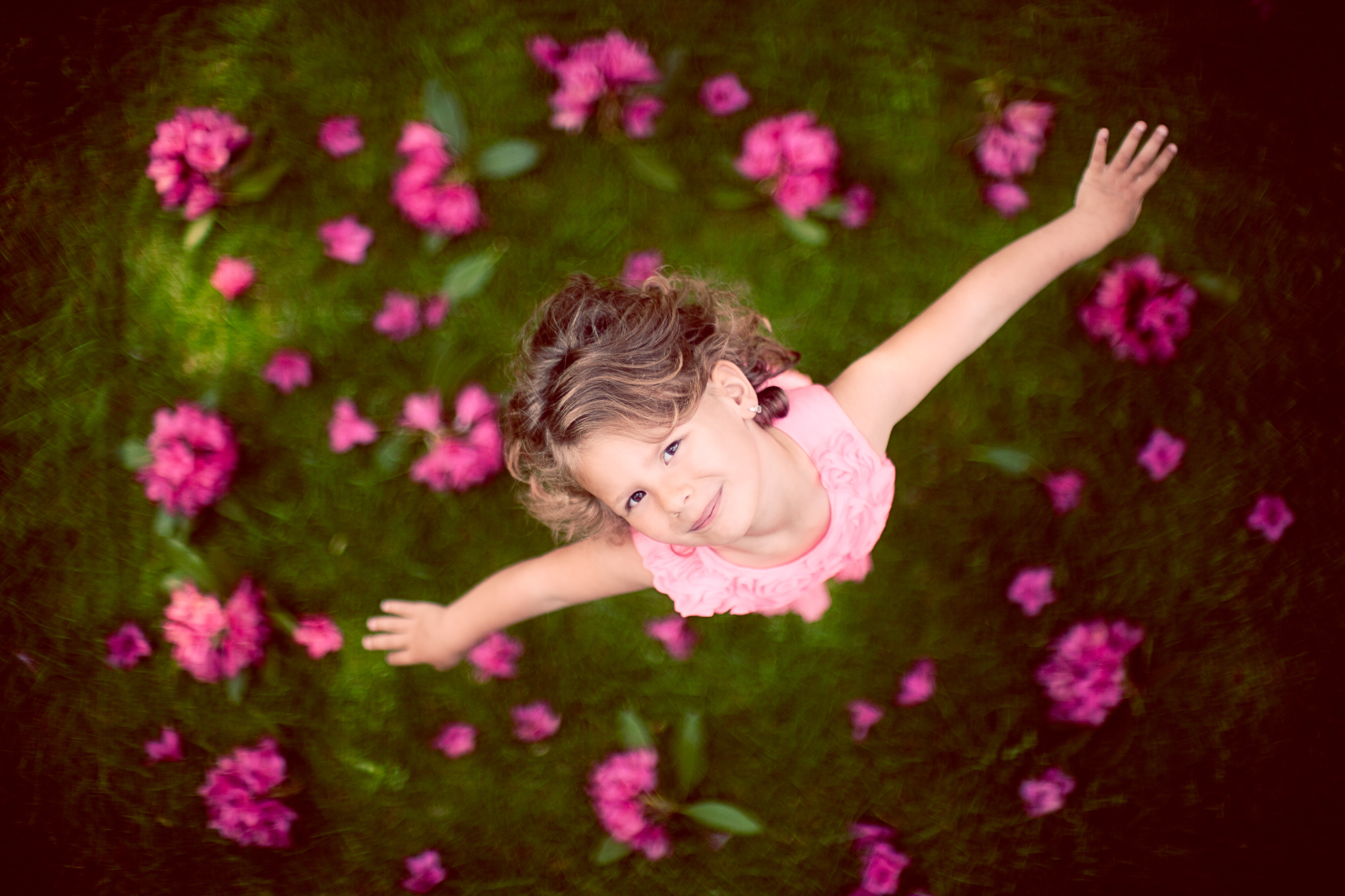 Téléchargez gratuitement l'image Enfant, Humeur, Brune, Photographie, Fleur Rose, Petite Fille sur le bureau de votre PC