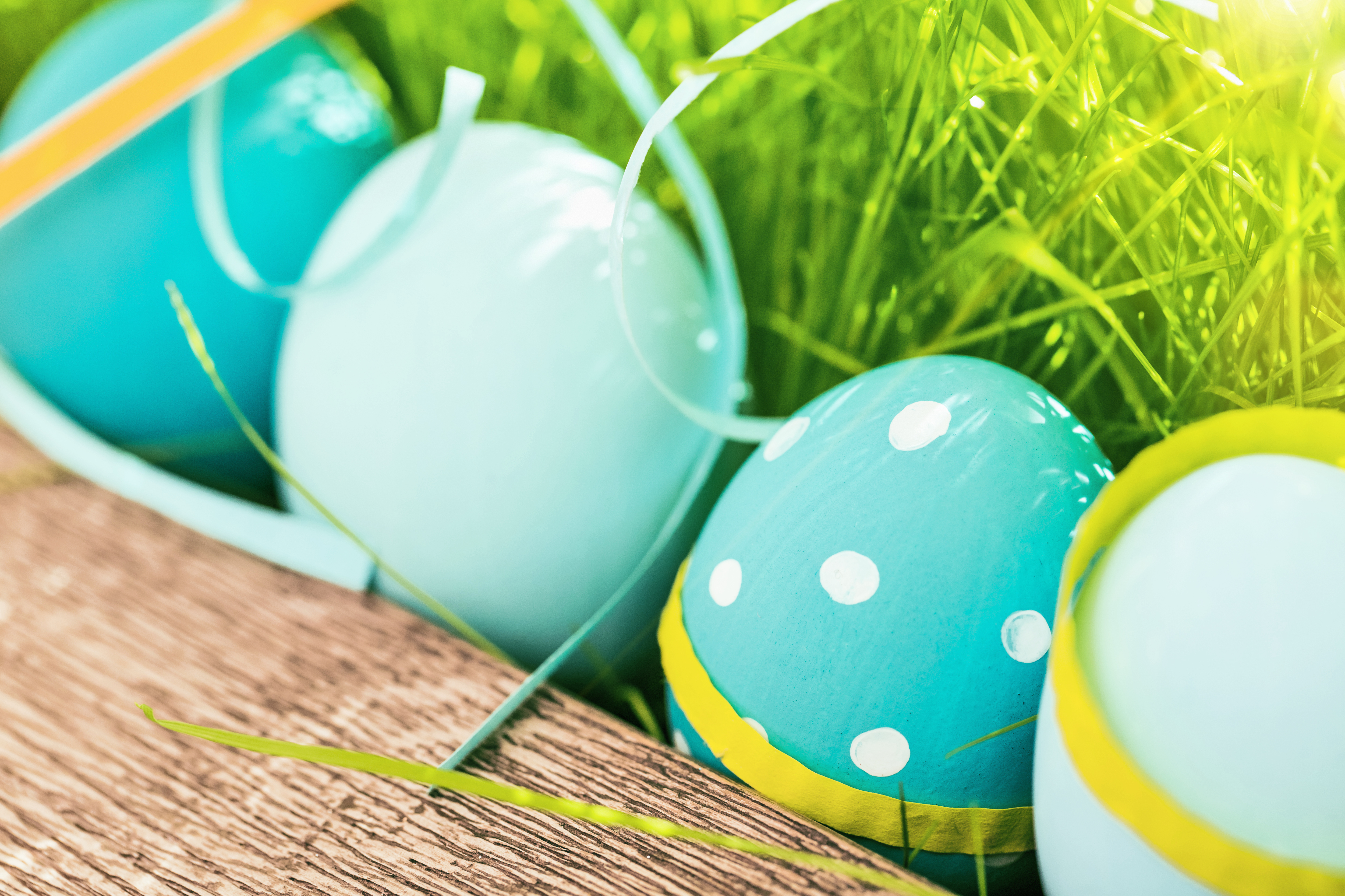 Free download wallpaper Grass, Easter, Holiday, Spring, Easter Egg on your PC desktop