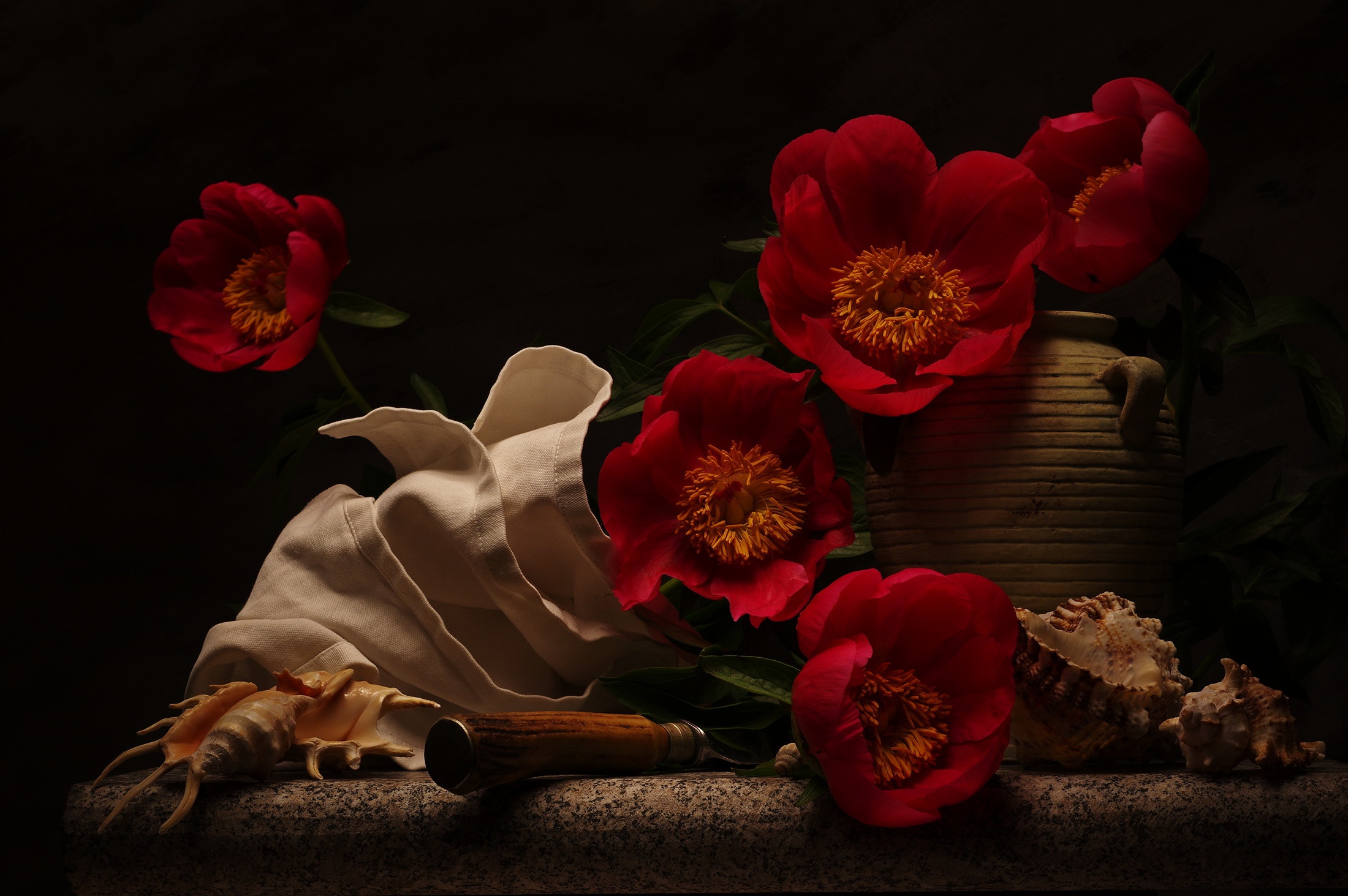 Download mobile wallpaper Still Life, Flower, Vase, Shell, Photography, Peony for free.
