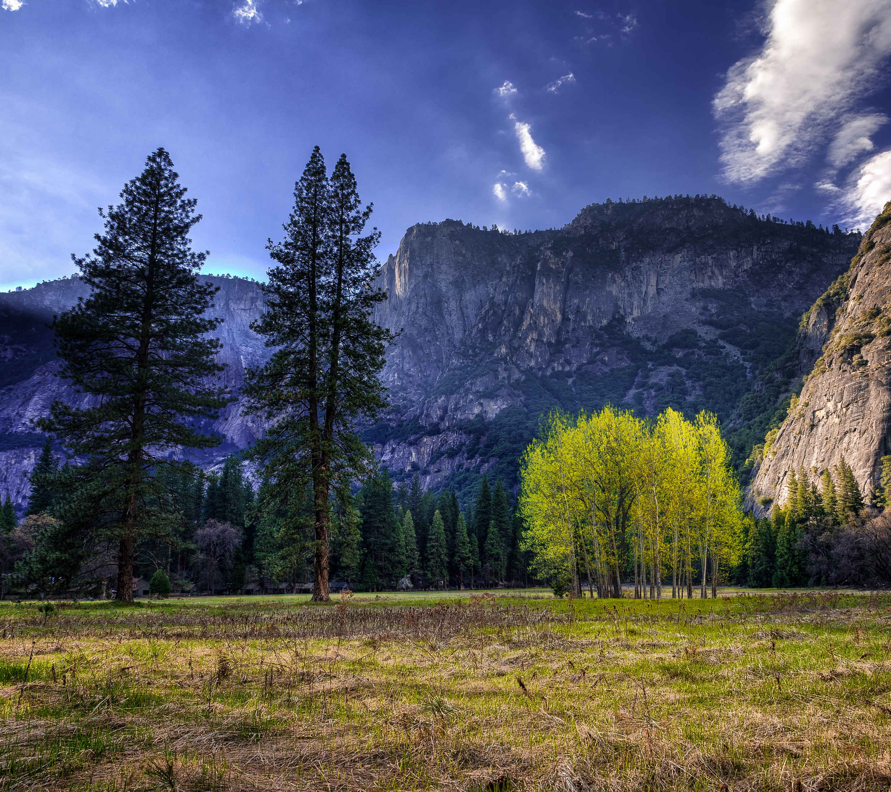 PCデスクトップに自然, 木, 山, 地球, 国立公園, カリフォルニア, ヨセミテ国立公園画像を無料でダウンロード