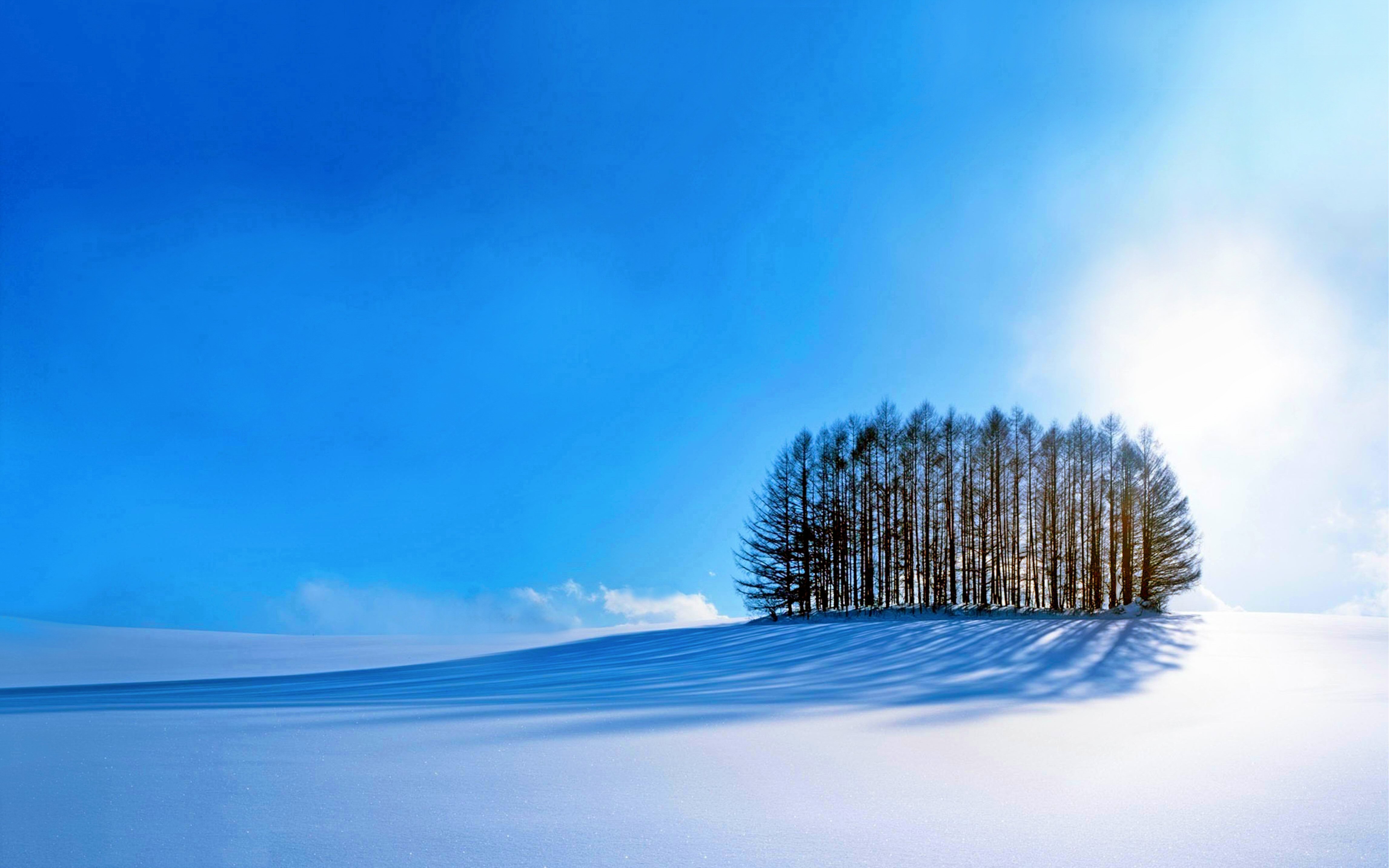 Descarga gratis la imagen Naturaleza, Cielo, Nieve, Amanecer, Árbol, Tierra/naturaleza en el escritorio de tu PC