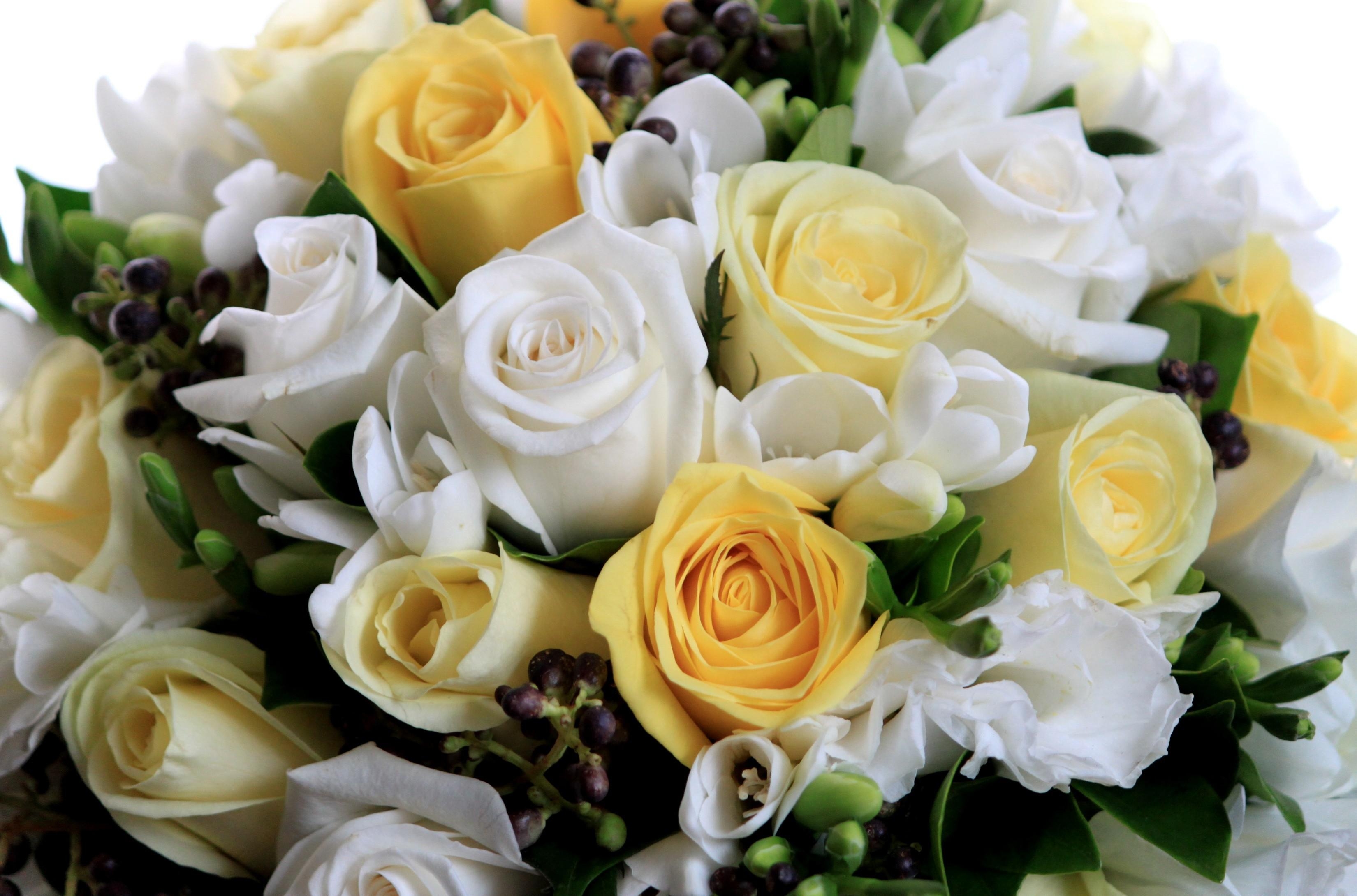 147099 descargar imagen flores, roses, blanco, amarillo, ramo, composición, generosamente, es hermoso: fondos de pantalla y protectores de pantalla gratis