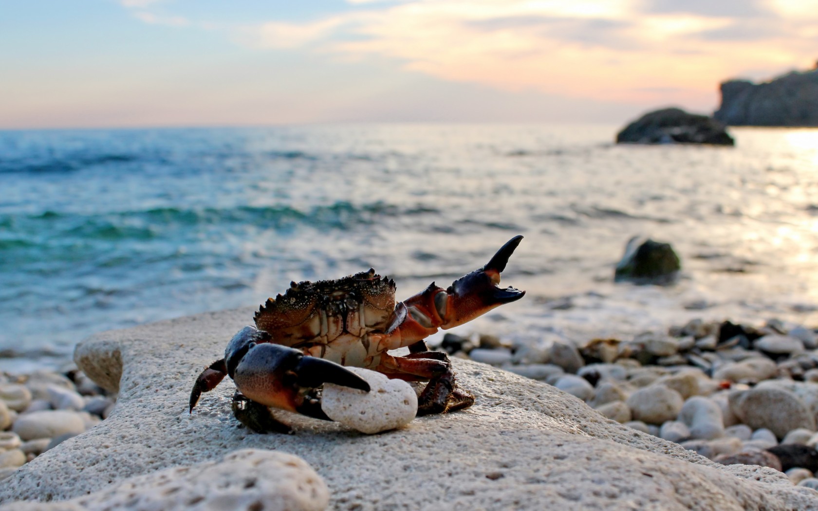 Laden Sie das Strand, Erde/natur-Bild kostenlos auf Ihren PC-Desktop herunter