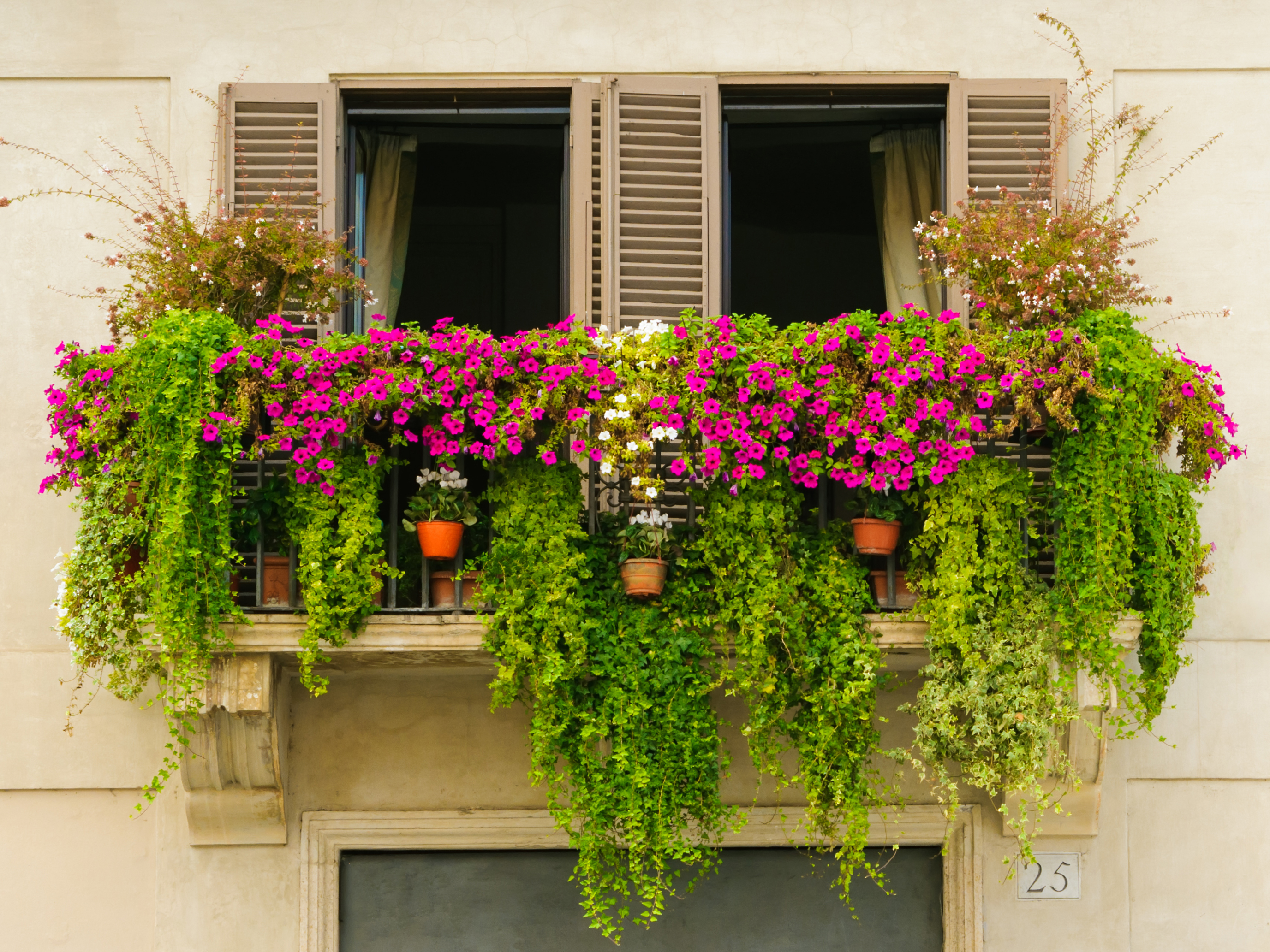 Laden Sie das Gebäude, Blume, Fenster, Bunt, Frühling, Balkon, Menschengemacht, Pinke Blume-Bild kostenlos auf Ihren PC-Desktop herunter