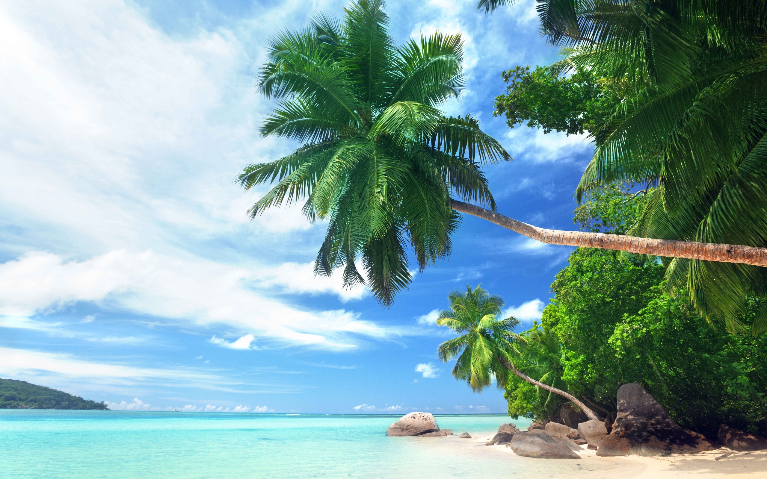 Free download wallpaper Earth, Island, Palm Tree on your PC desktop