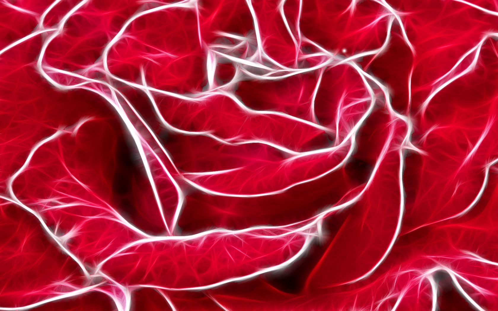 Download mobile wallpaper Petals, Shine, Rose, Rose Flower, Light, Background, Abstract for free.