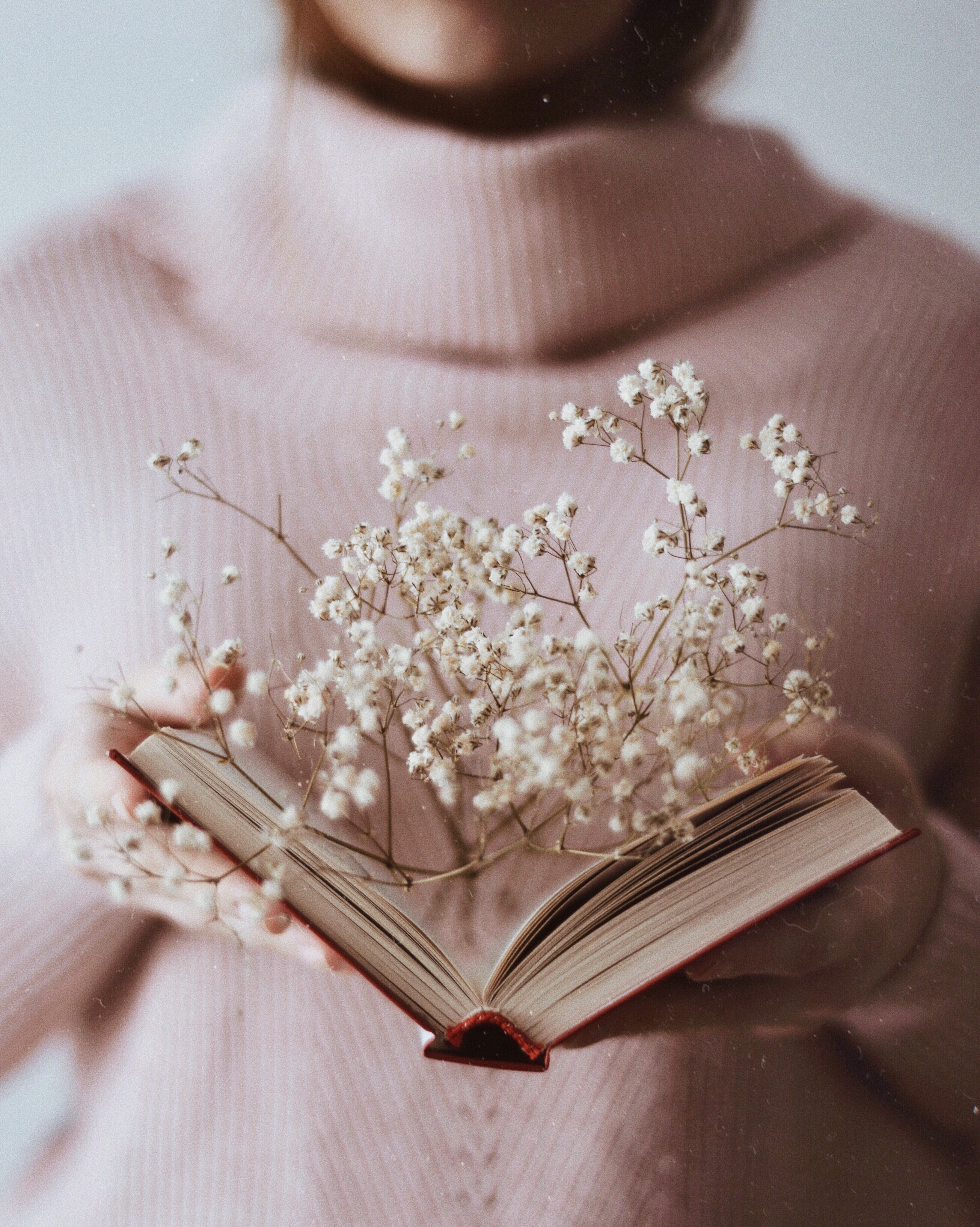 branch, white, flowers, miscellanea, miscellaneous, book, open
