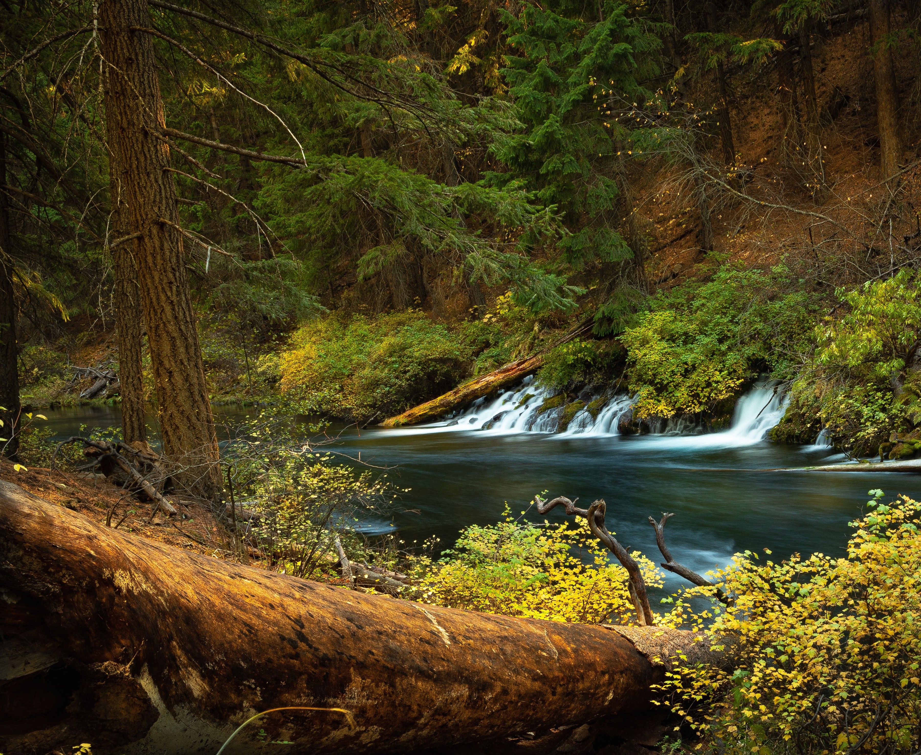 Download mobile wallpaper Waterfalls, Waterfall, Forest, Earth, River, Oregon for free.