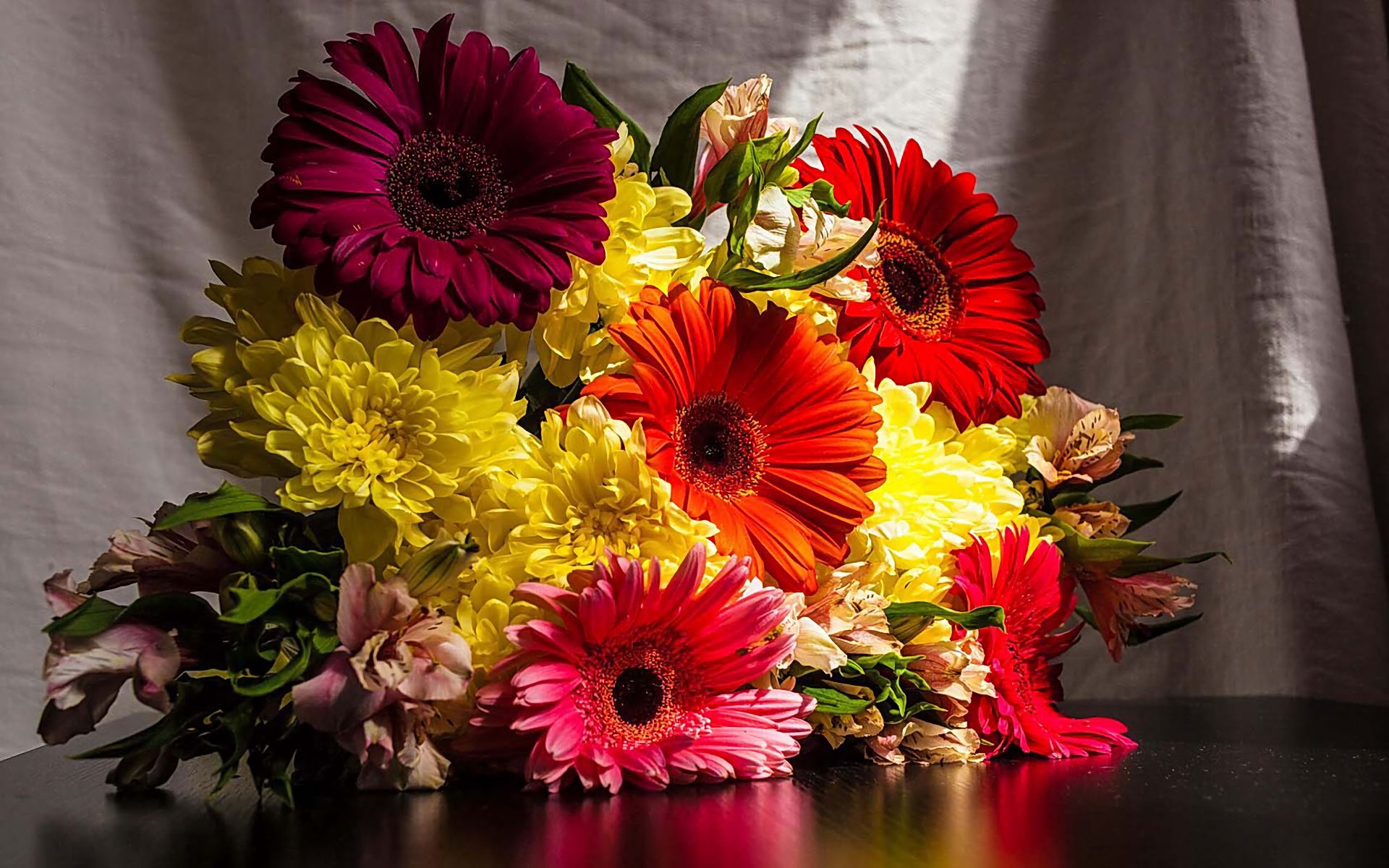Laden Sie das Gerbera, Blume, Erde, Farben, Dahlien, Bunt, Menschengemacht-Bild kostenlos auf Ihren PC-Desktop herunter