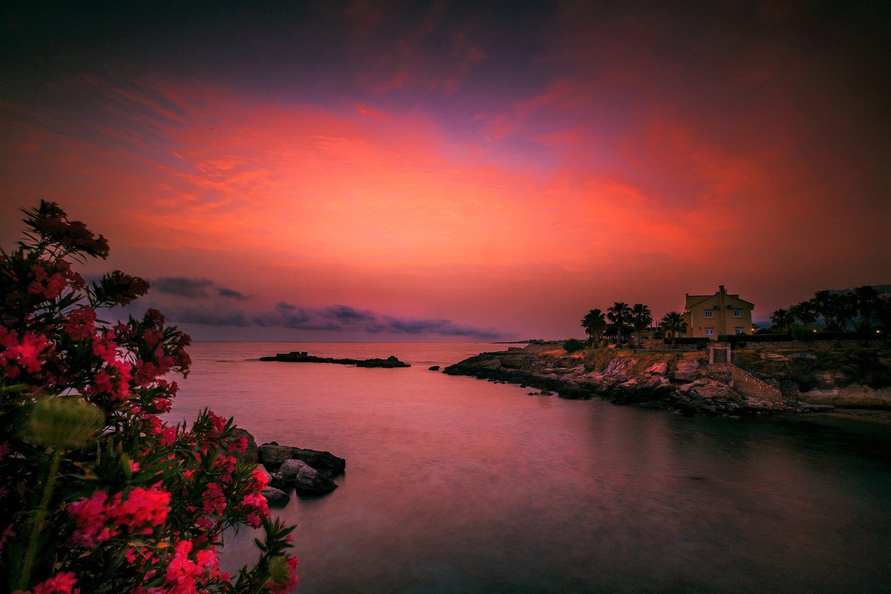 Download mobile wallpaper Sunset, Sky, Pink, Horizon, Lake, Flower, House, Man Made for free.