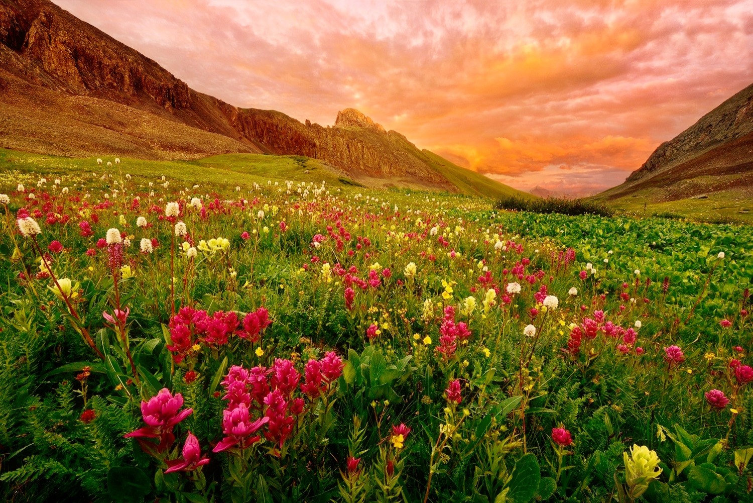 Download mobile wallpaper Landscape, Sunset, Mountain, Flower, Earth, Field, Cloud for free.