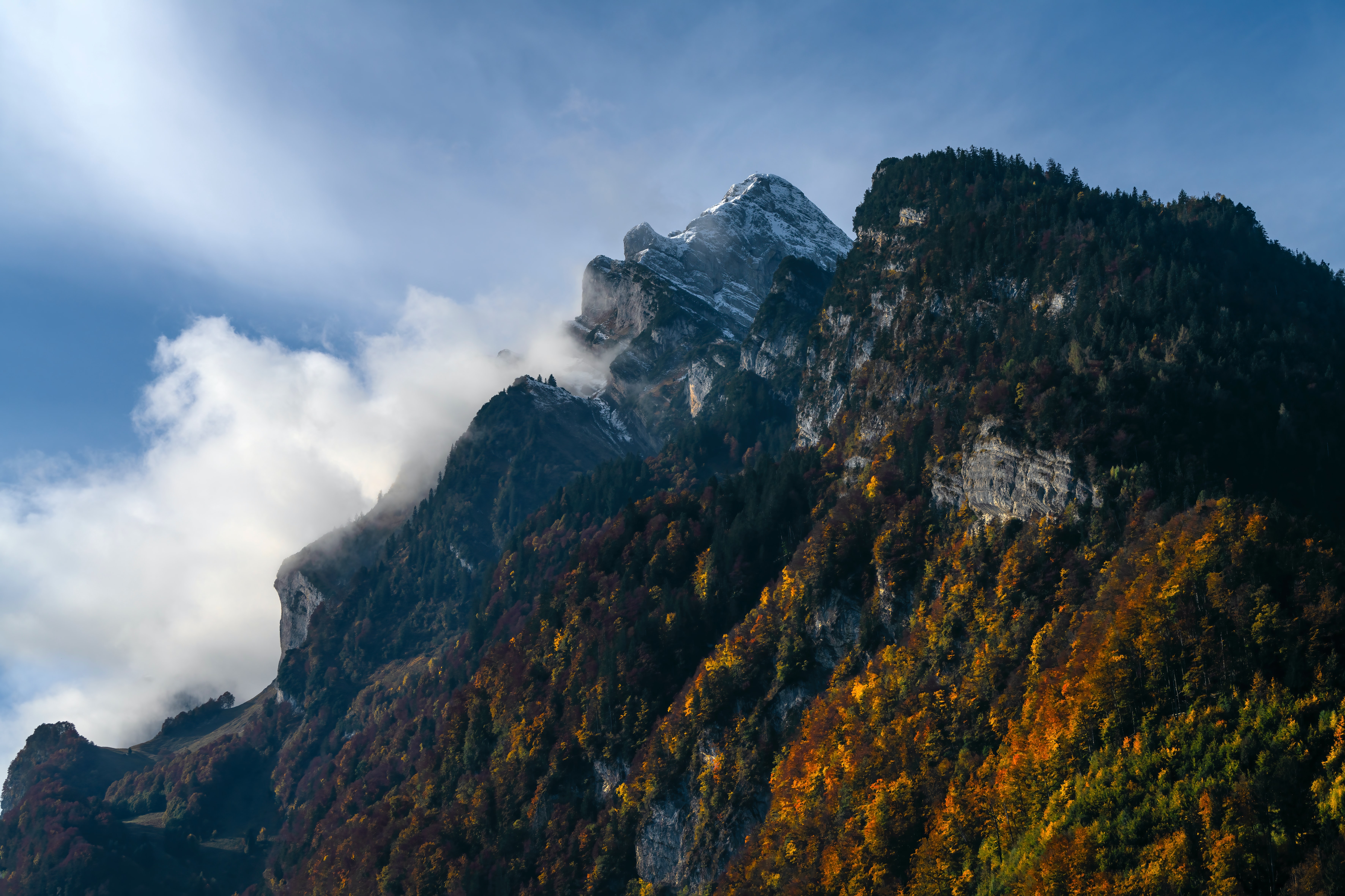 無料モバイル壁紙自然, 木, 山脈, 霧, 雲, 岩をダウンロードします。