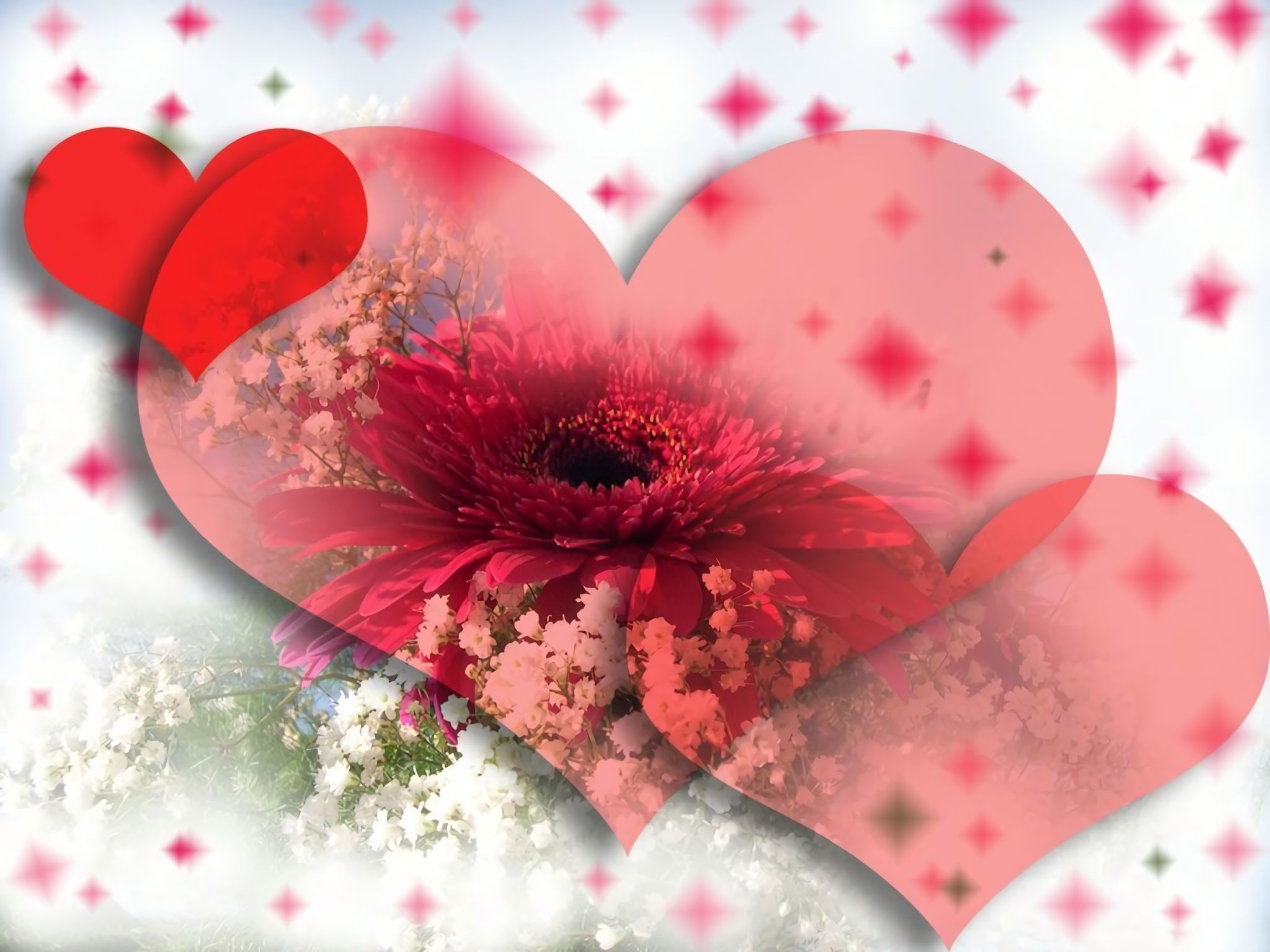 Téléchargez des papiers peints mobile Rose, Amour, Fleur, Artistique, Coeur gratuitement.