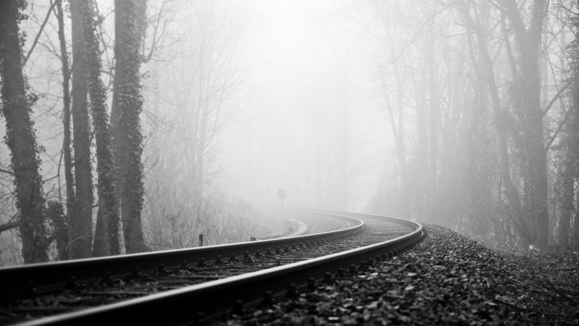 121212 скачать картинку мрачные, черно белые, рельсы, железная дорога, природа, поворот, туман - обои и заставки бесплатно