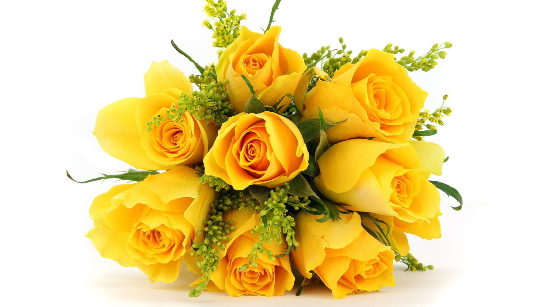 294997 télécharger le fond d'écran fleur jaune, fleurs, bouquet, rose, terre/nature, fleur, la nature, une rose jaune - économiseurs d'écran et images gratuitement