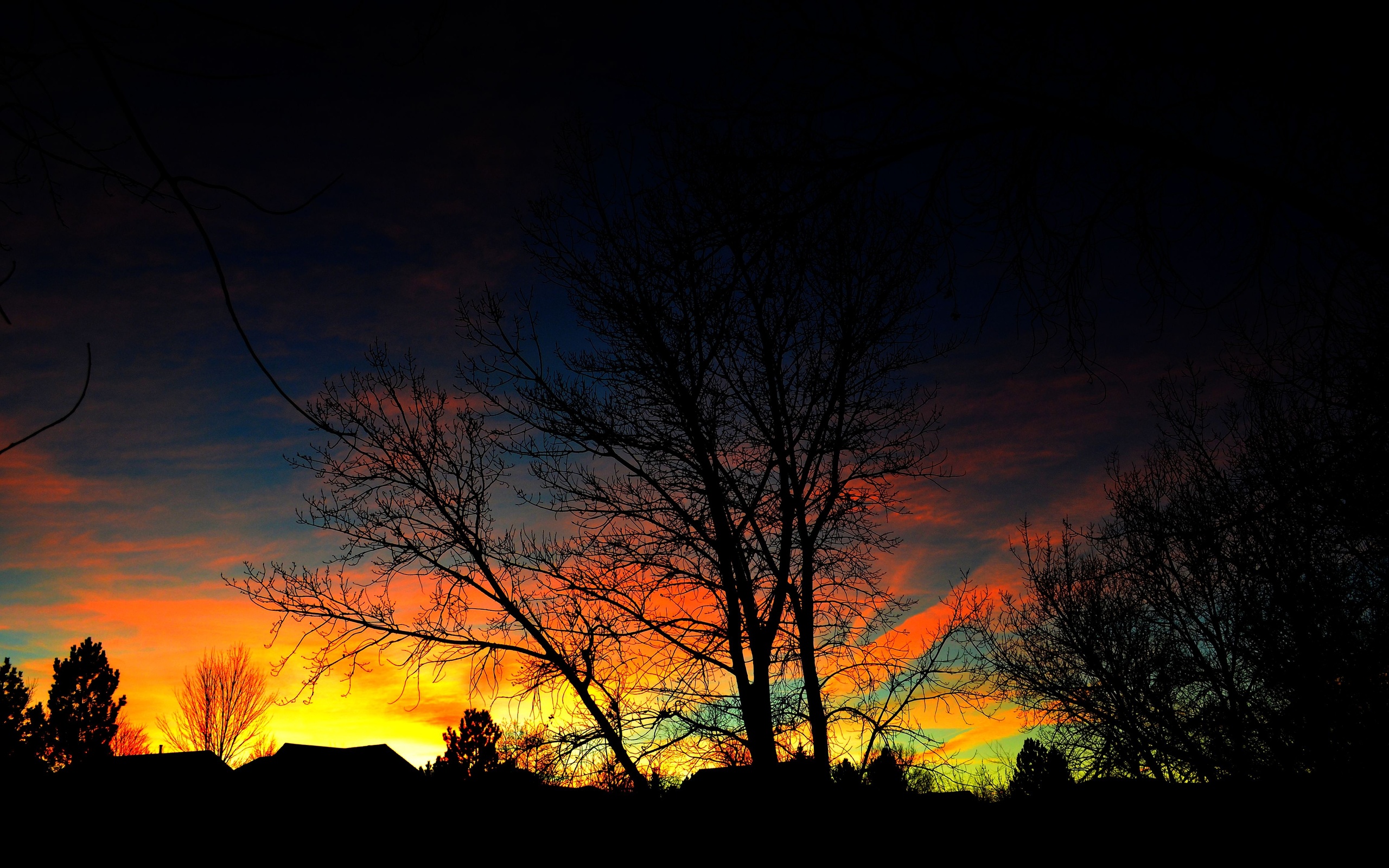 Descarga gratuita de fondo de pantalla para móvil de Amanecer, Tierra/naturaleza.