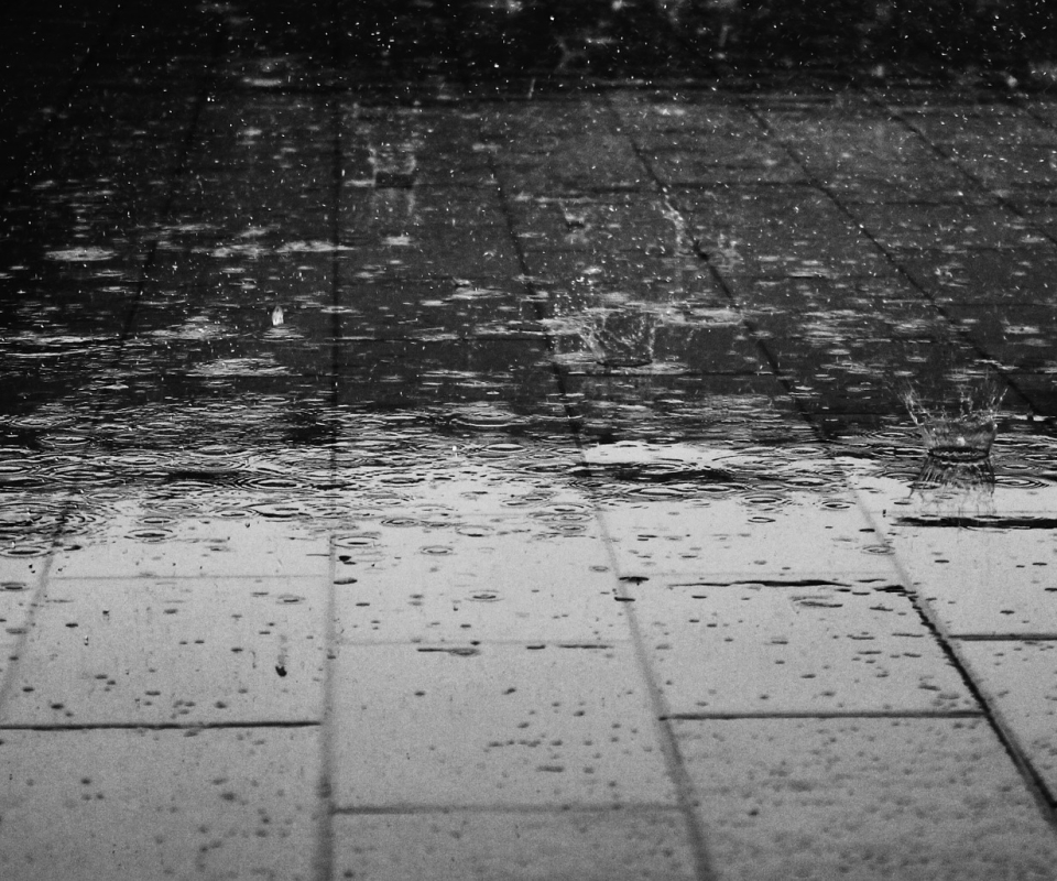 Download mobile wallpaper Water, Rain, Photography, Water Drop, Black & White for free.