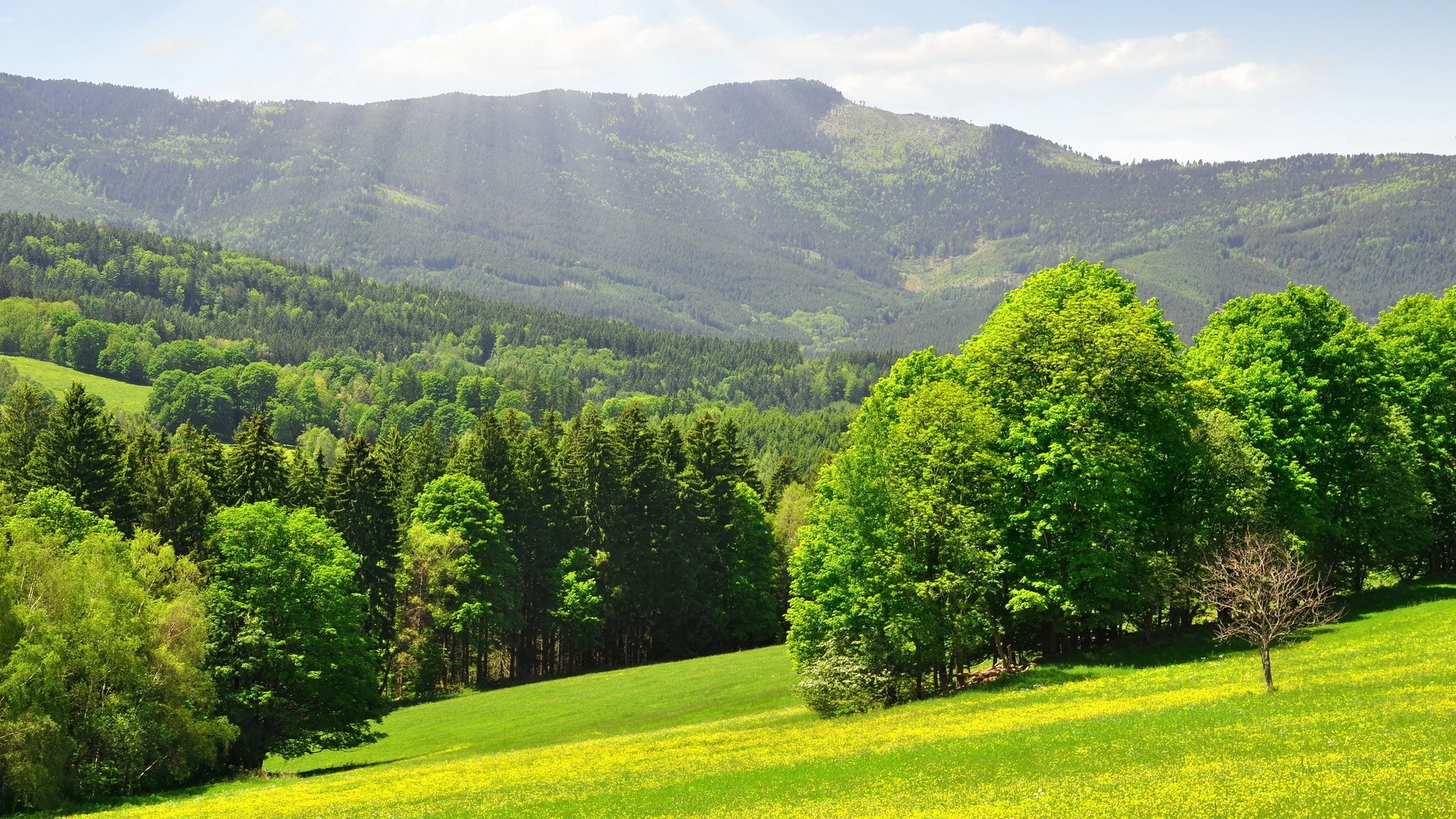 Descarga gratis la imagen Paisaje, Tierra/naturaleza en el escritorio de tu PC