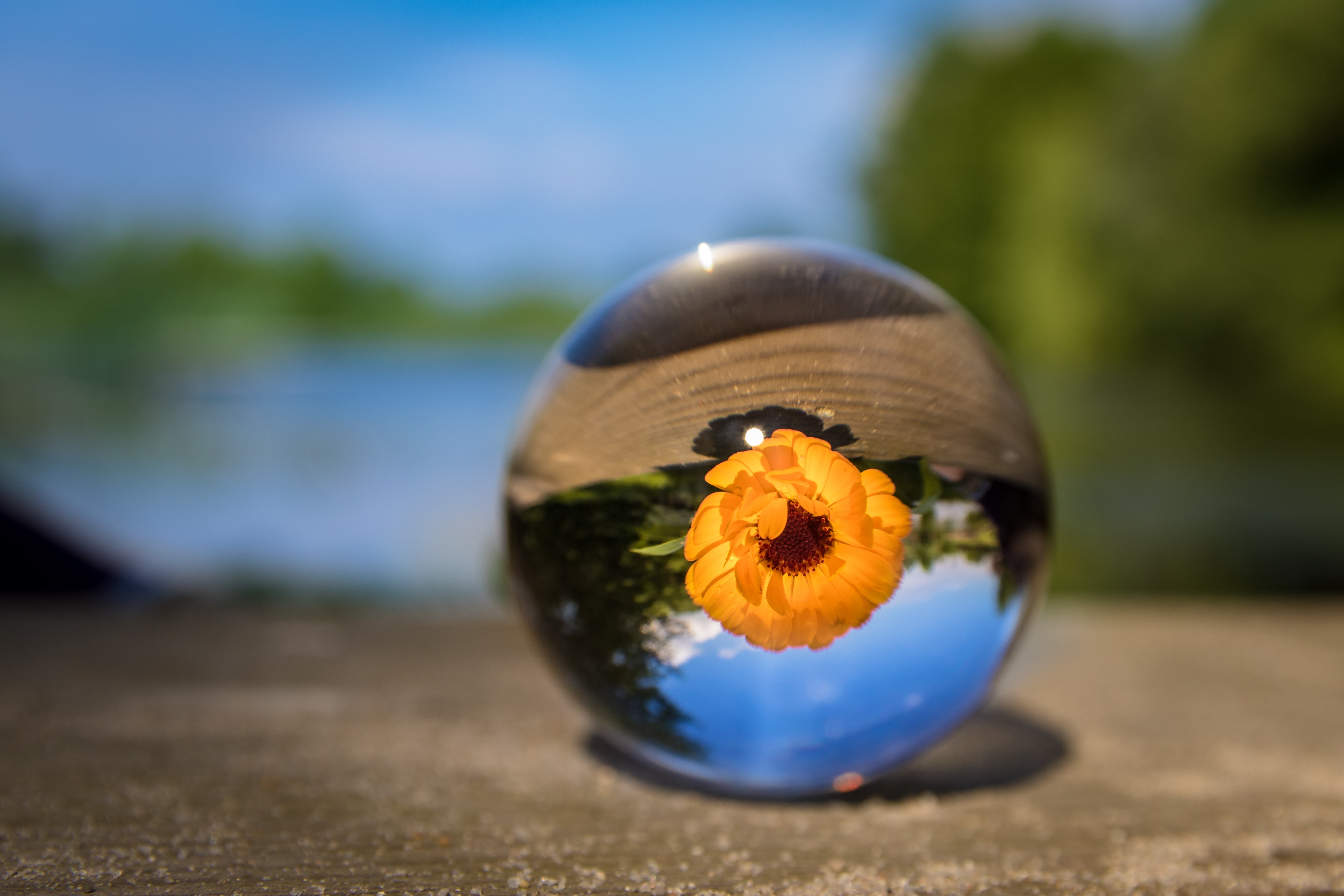 Download mobile wallpaper Smooth, Flowers, Ball, Flower, Glass, Blur for free.