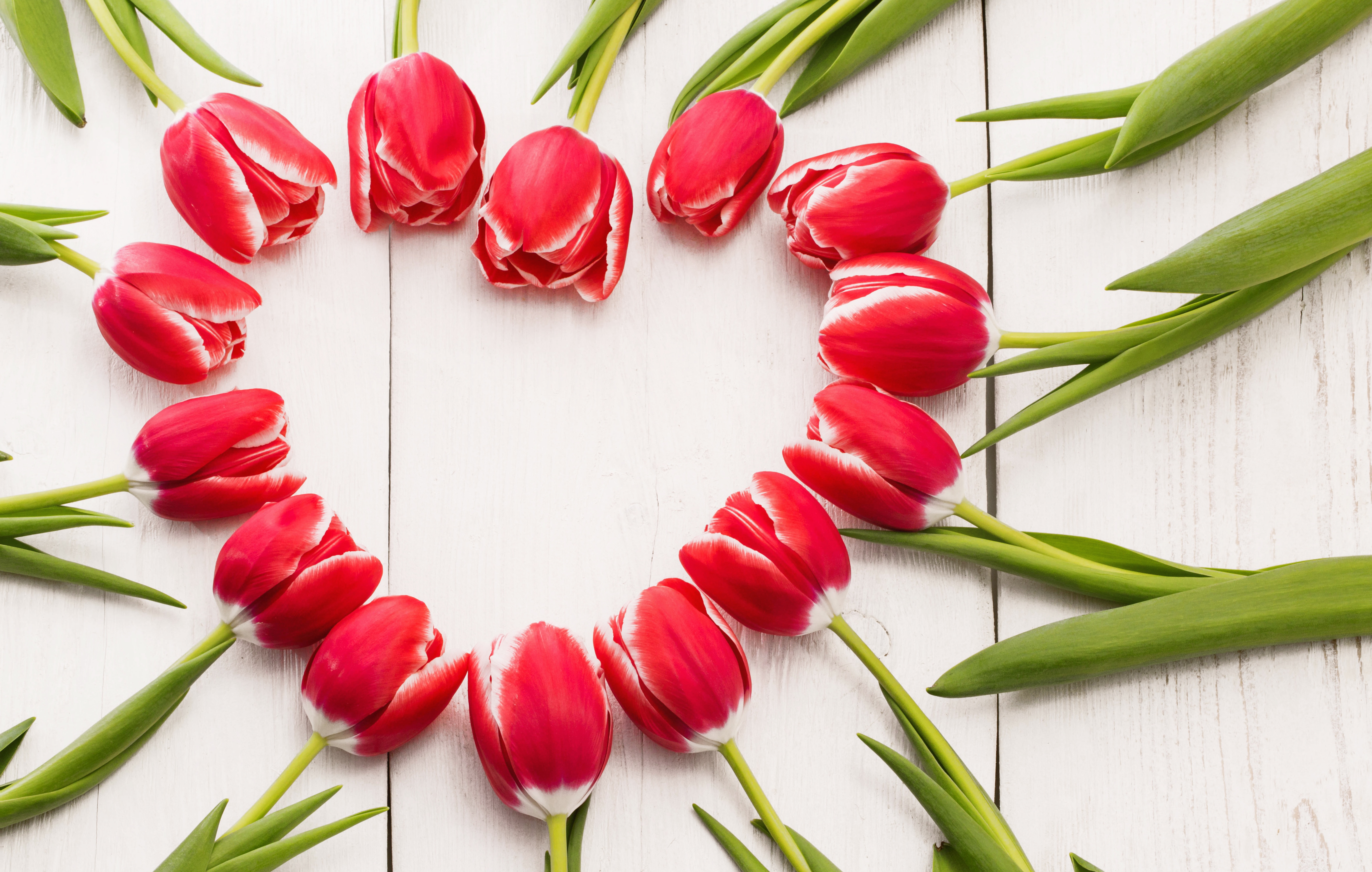 Descarga gratis la imagen Flor, Tulipán, Flor Roja, Hecho Por El Hombre, En Forma De Corazón en el escritorio de tu PC