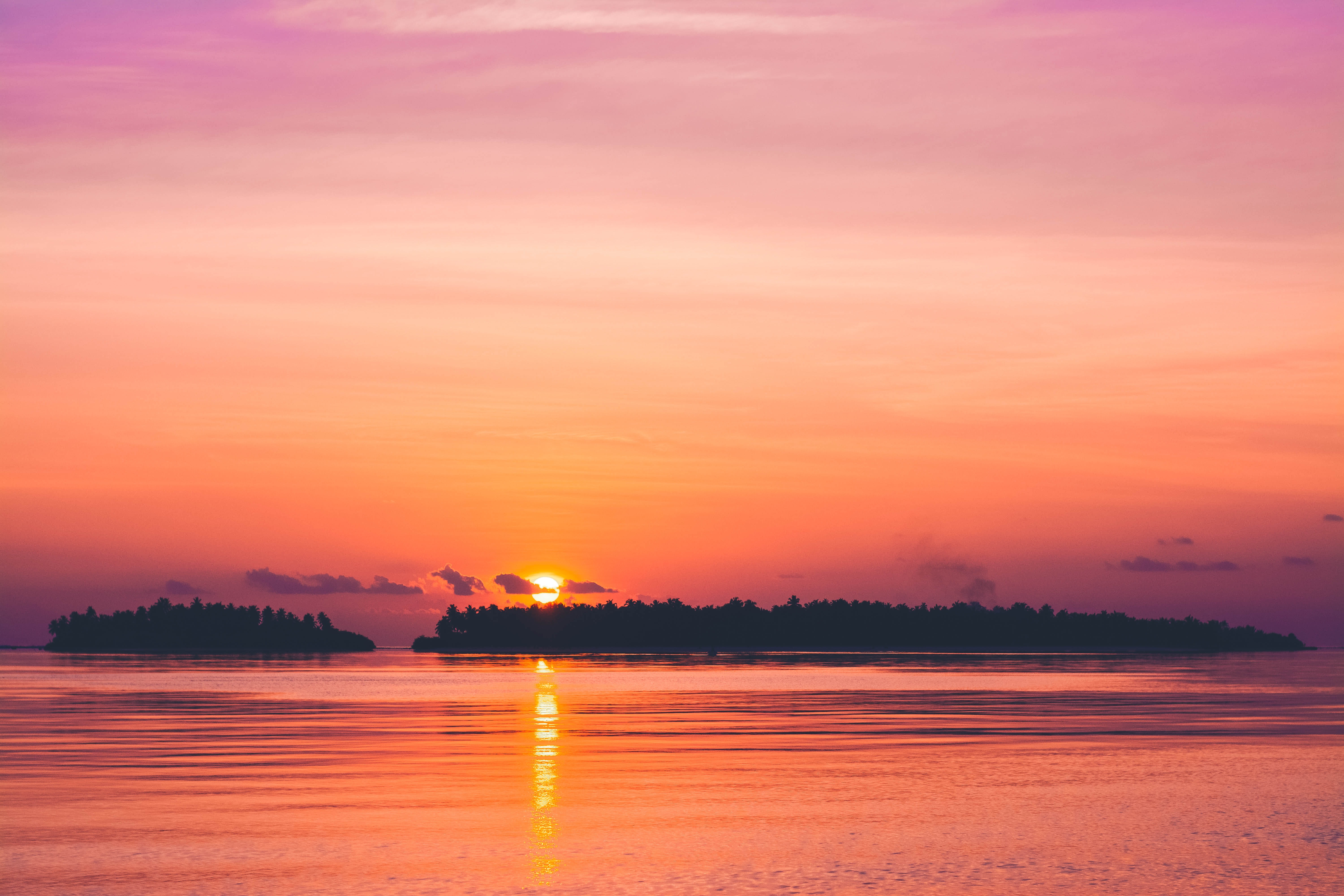 Free download wallpaper Sunset, Sky, Horizon, Nature, Trees, Sea on your PC desktop