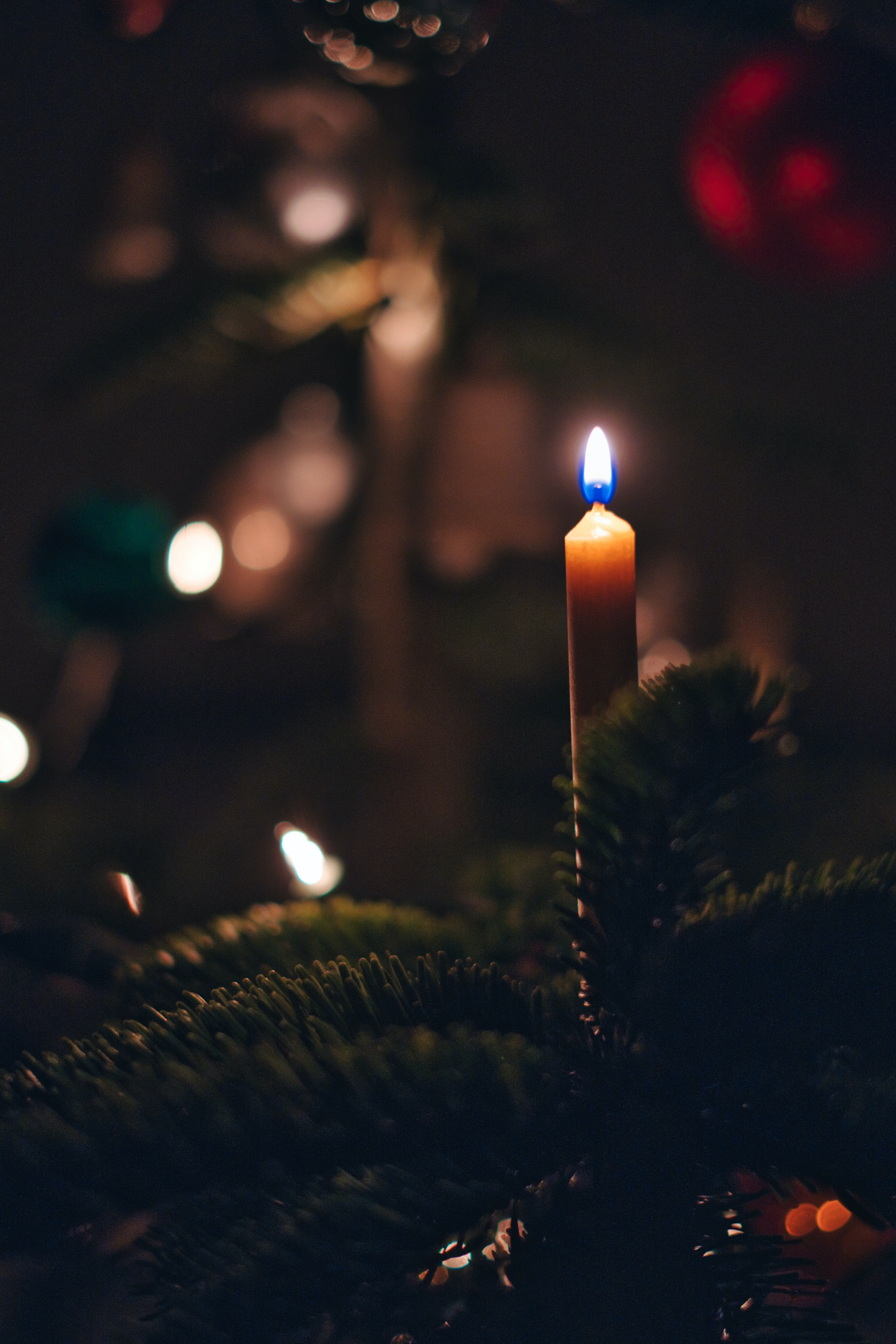 christmas, candle, fire, holidays, new year, christmas tree Phone Background