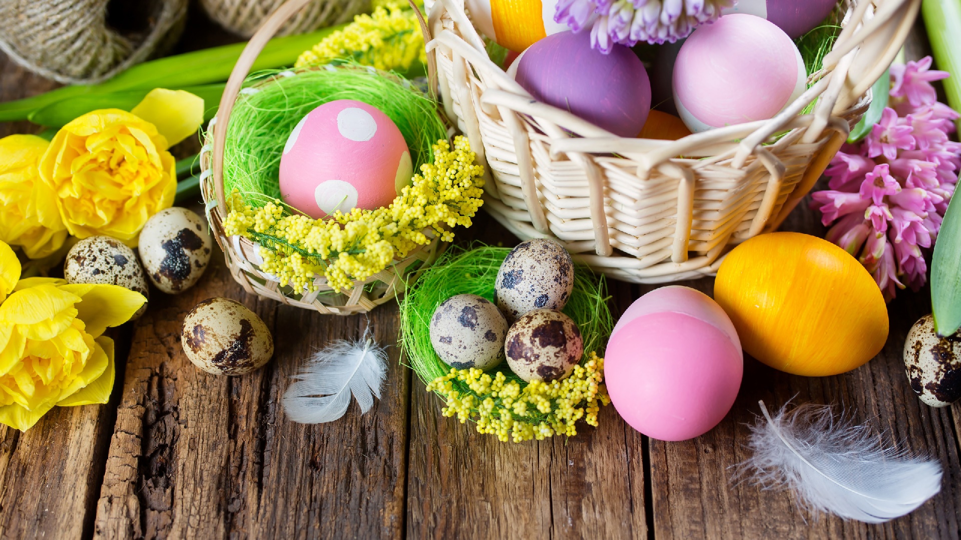 Download mobile wallpaper Easter, Flower, Holiday, Colors, Egg for free.