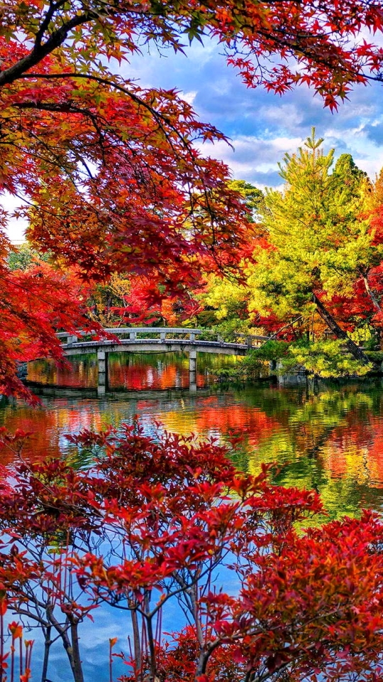 Handy-Wallpaper Herbst, See, Wald, Park, Baum, Brücke, Garten, Menschengemacht, Japanischer Garten kostenlos herunterladen.