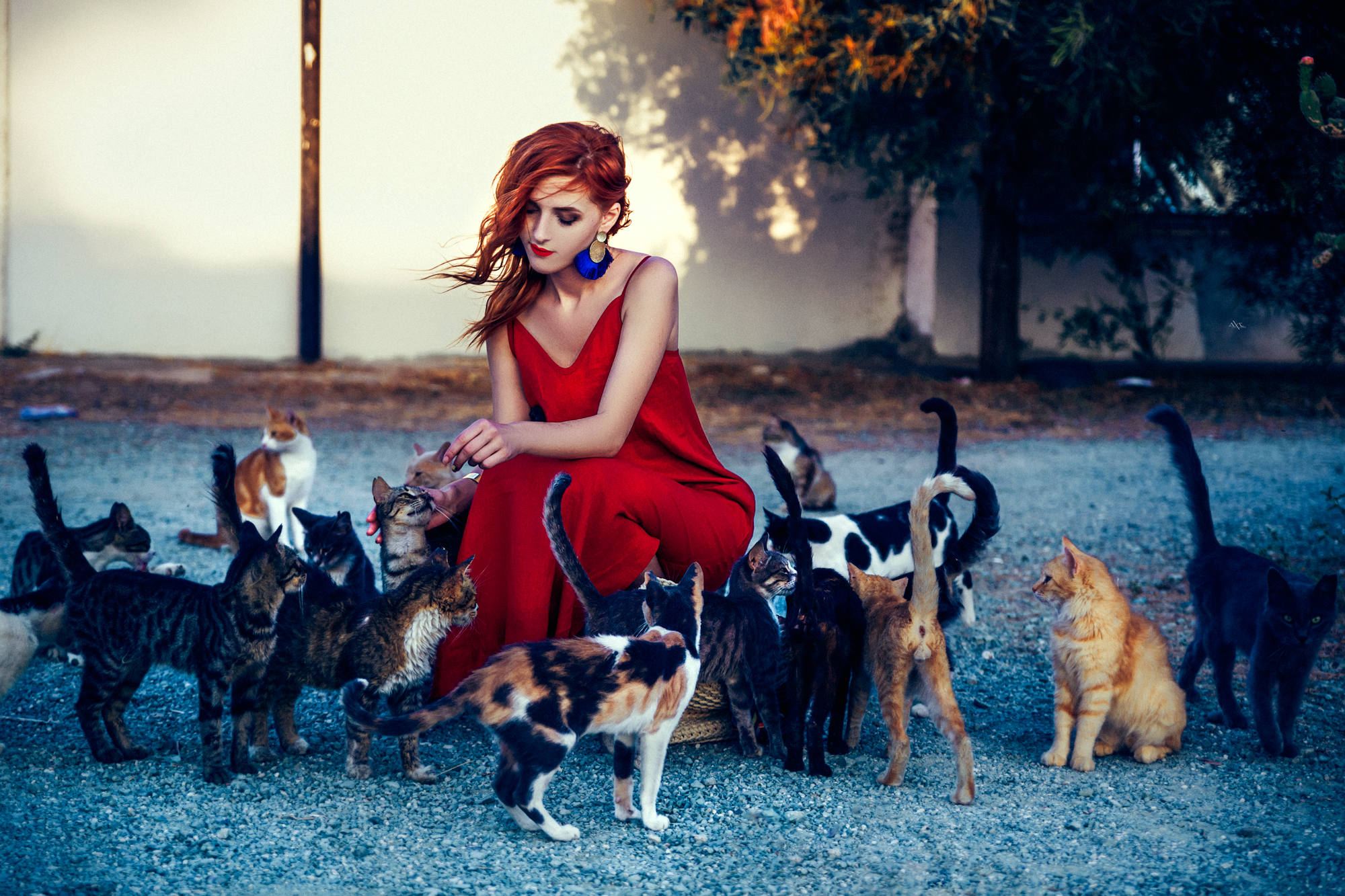 PCデスクトップにネコ, 赤毛, ムード, モデル, 女性, 口紅, 赤いドレス画像を無料でダウンロード