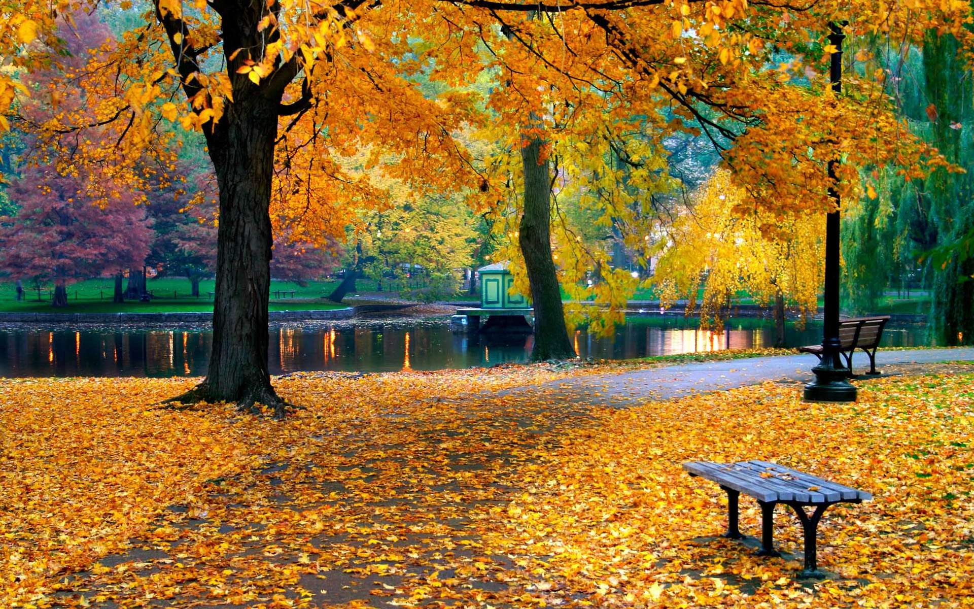 Free download wallpaper Fall, Photography on your PC desktop