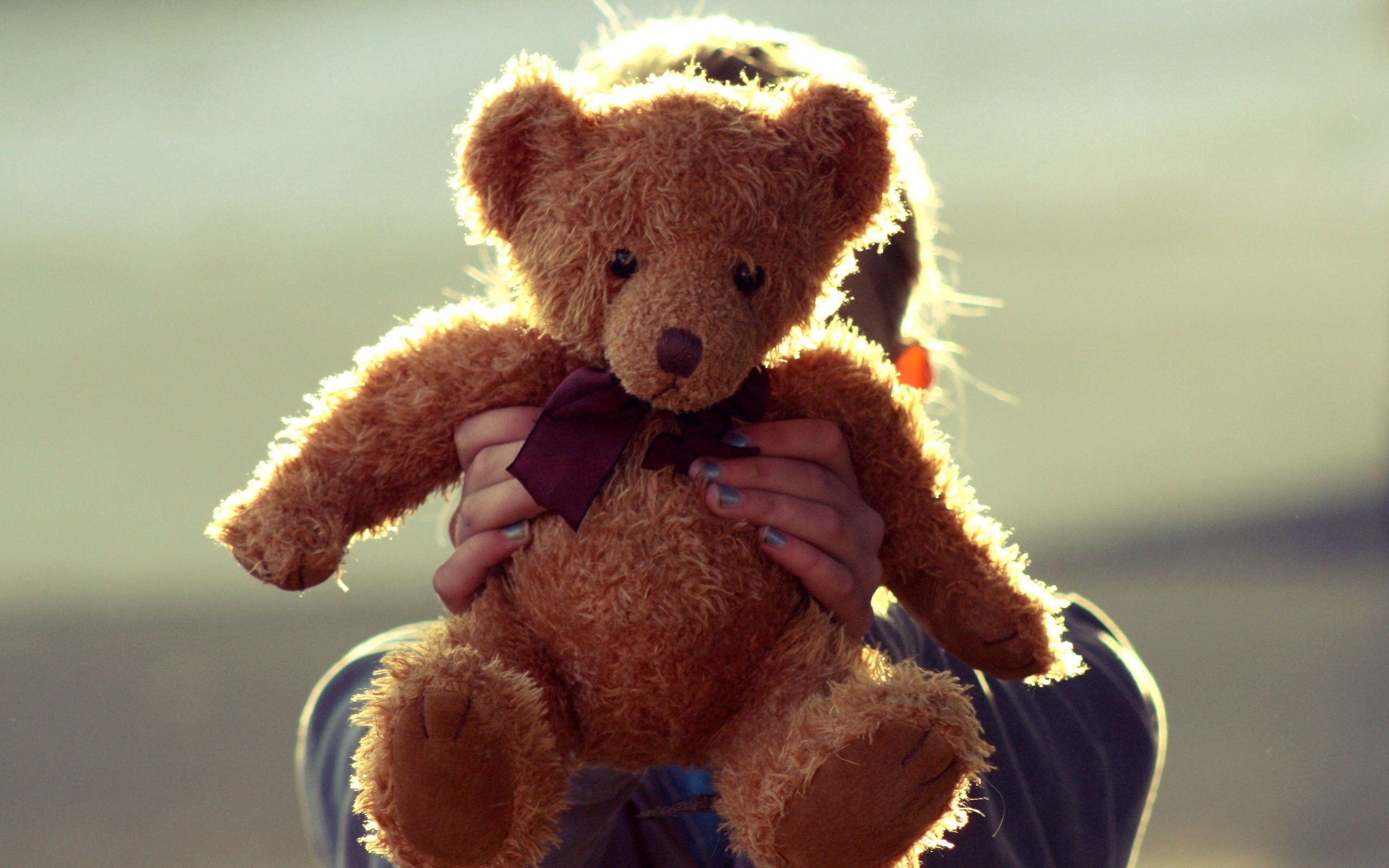 teddy bear, miscellanea, miscellaneous, toy, hands