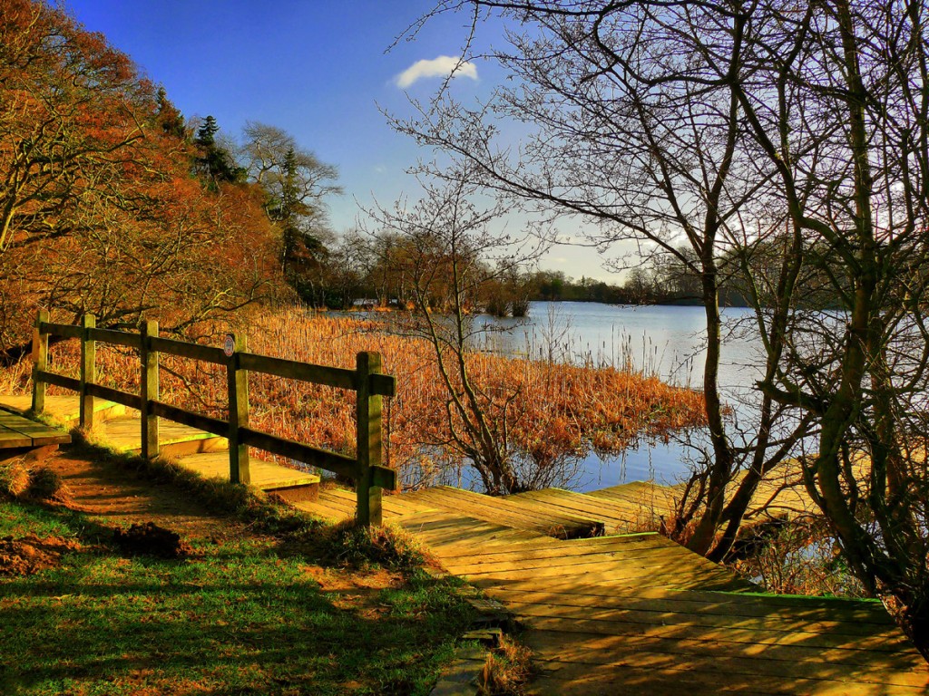 Baixe gratuitamente a imagem Lago, Terra/natureza na área de trabalho do seu PC