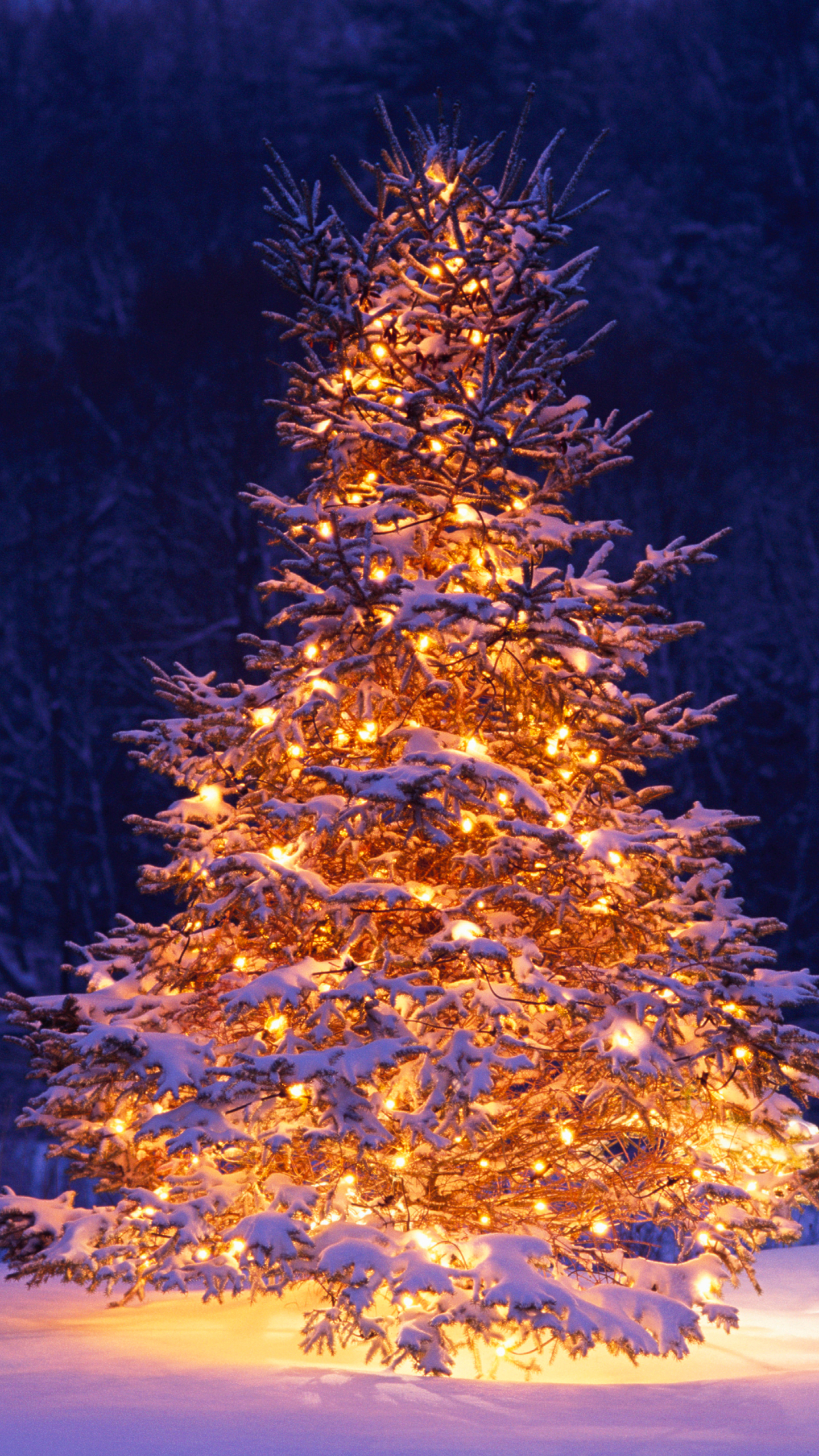 Download mobile wallpaper Winter, Snow, Chair, Tree, Christmas, Holiday, Christmas Tree, Ligths for free.