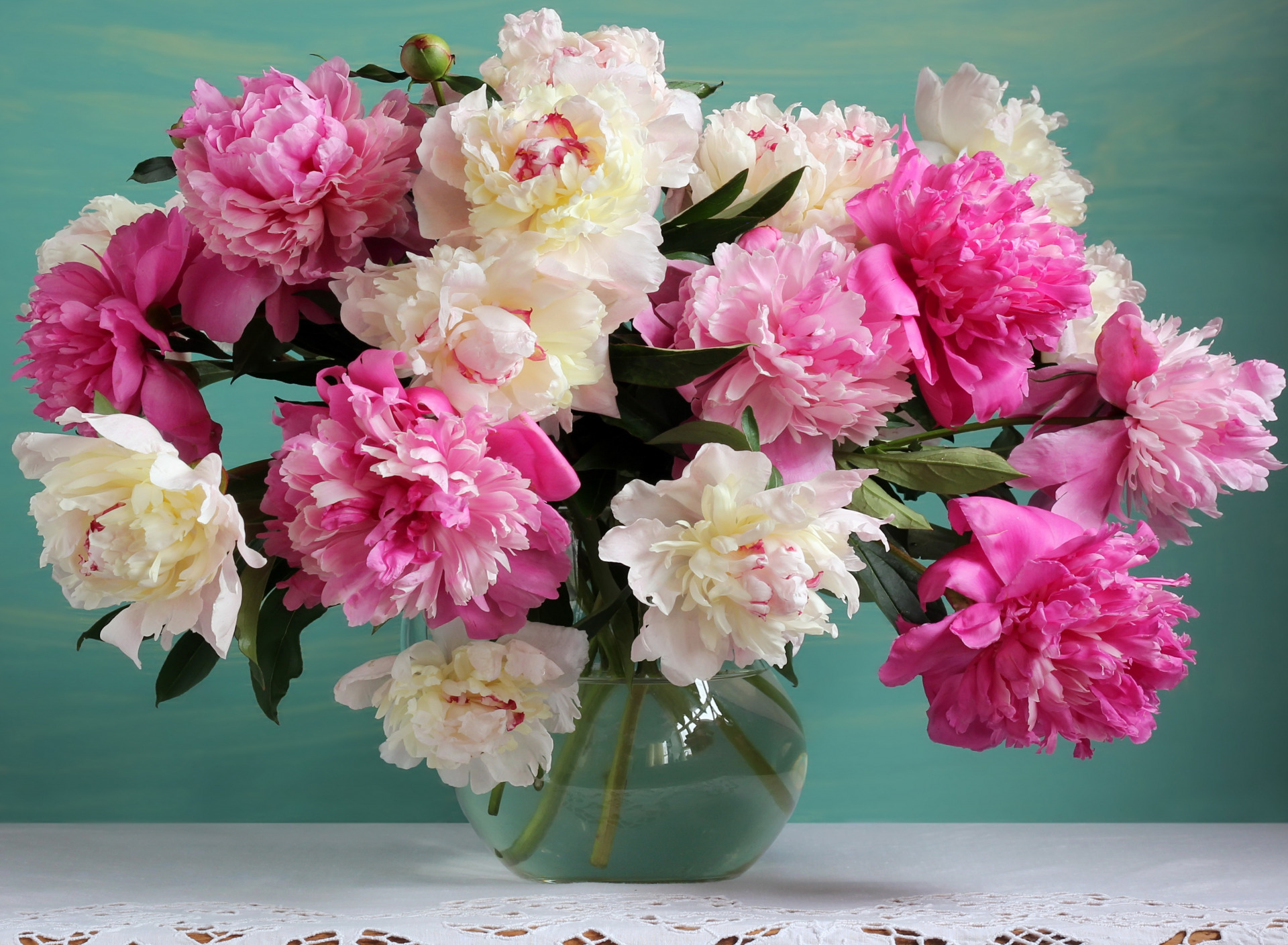 Handy-Wallpaper Blume, Vase, Pfingstrose, Weiße Blume, Menschengemacht, Pinke Blume kostenlos herunterladen.