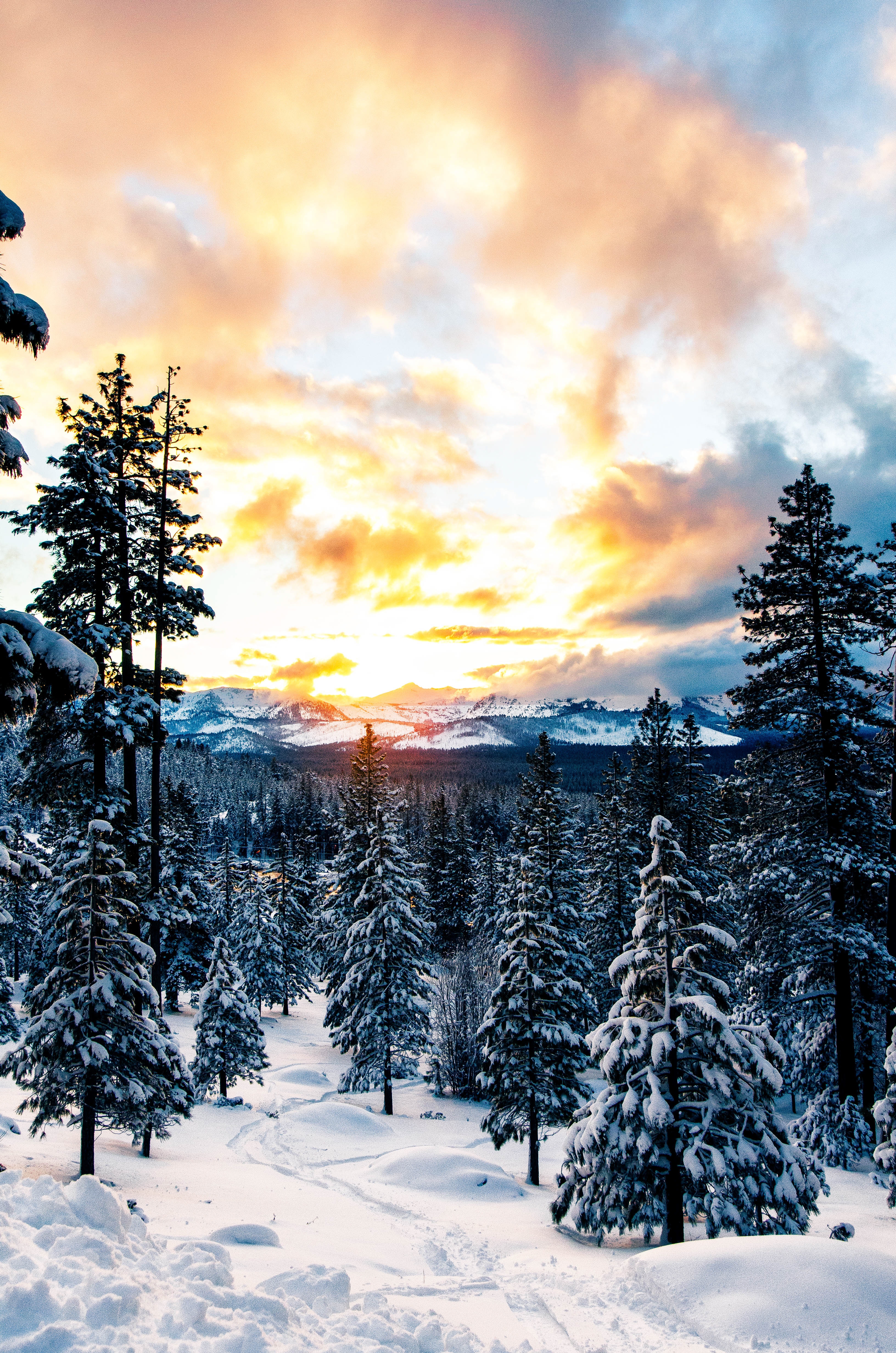 Descarga gratuita de fondo de pantalla para móvil de Naturaleza, Bosque, Montañas, Nieve, Invierno.