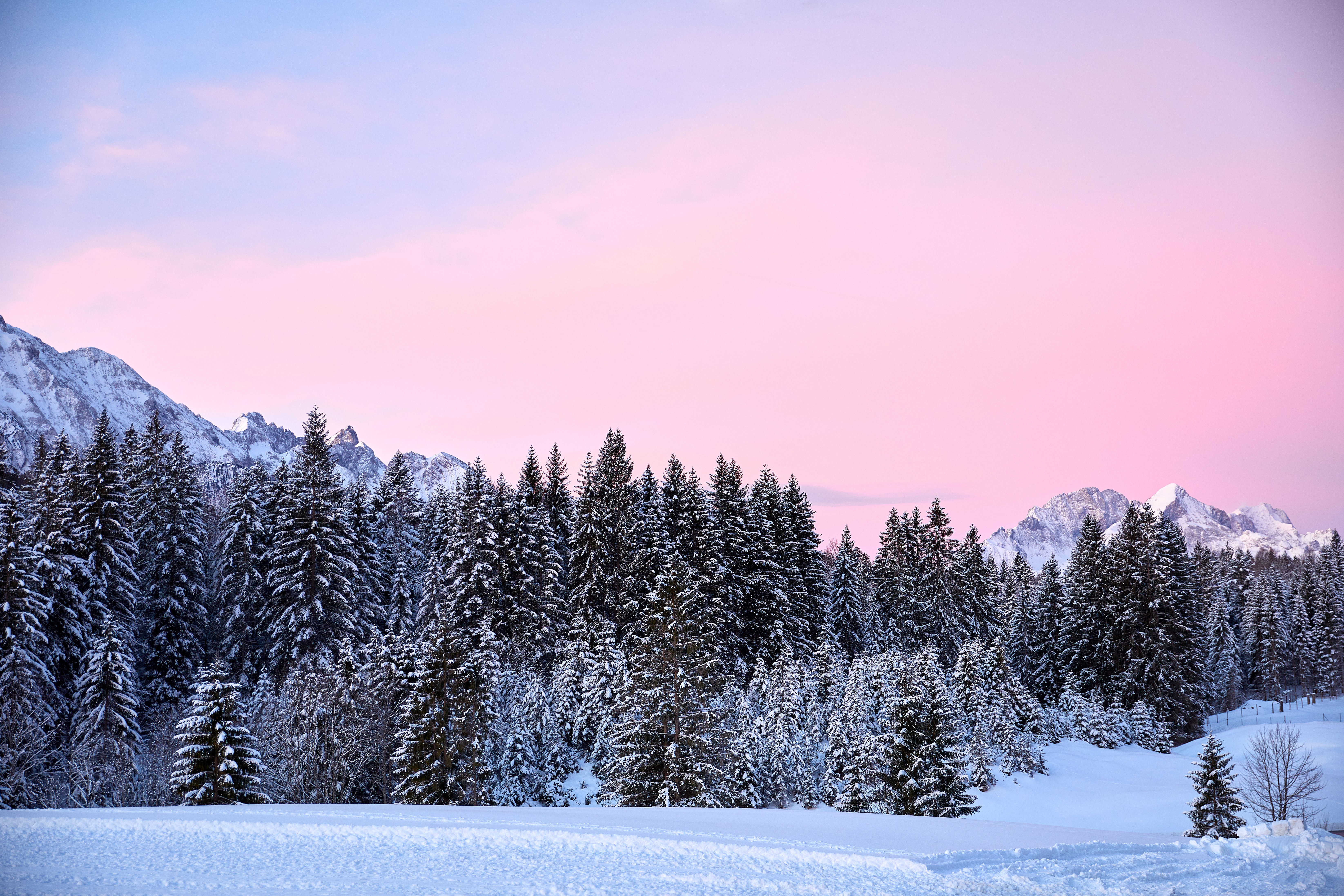 Download mobile wallpaper Trees, Nature, Mountains, Snow, Pink for free.