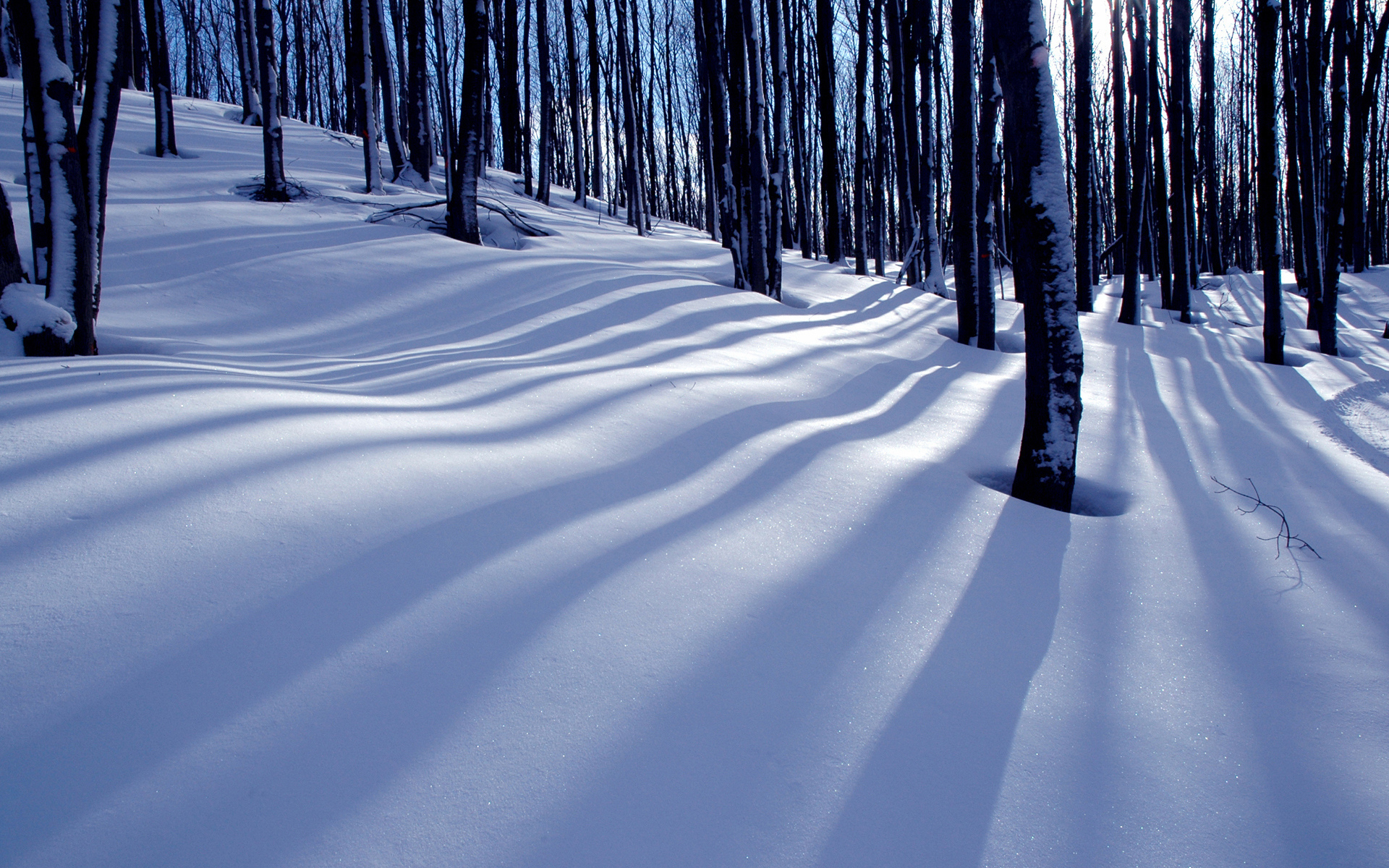 Download mobile wallpaper Winter, Nature, Snow, Forest, Earth, Sunbeam for free.