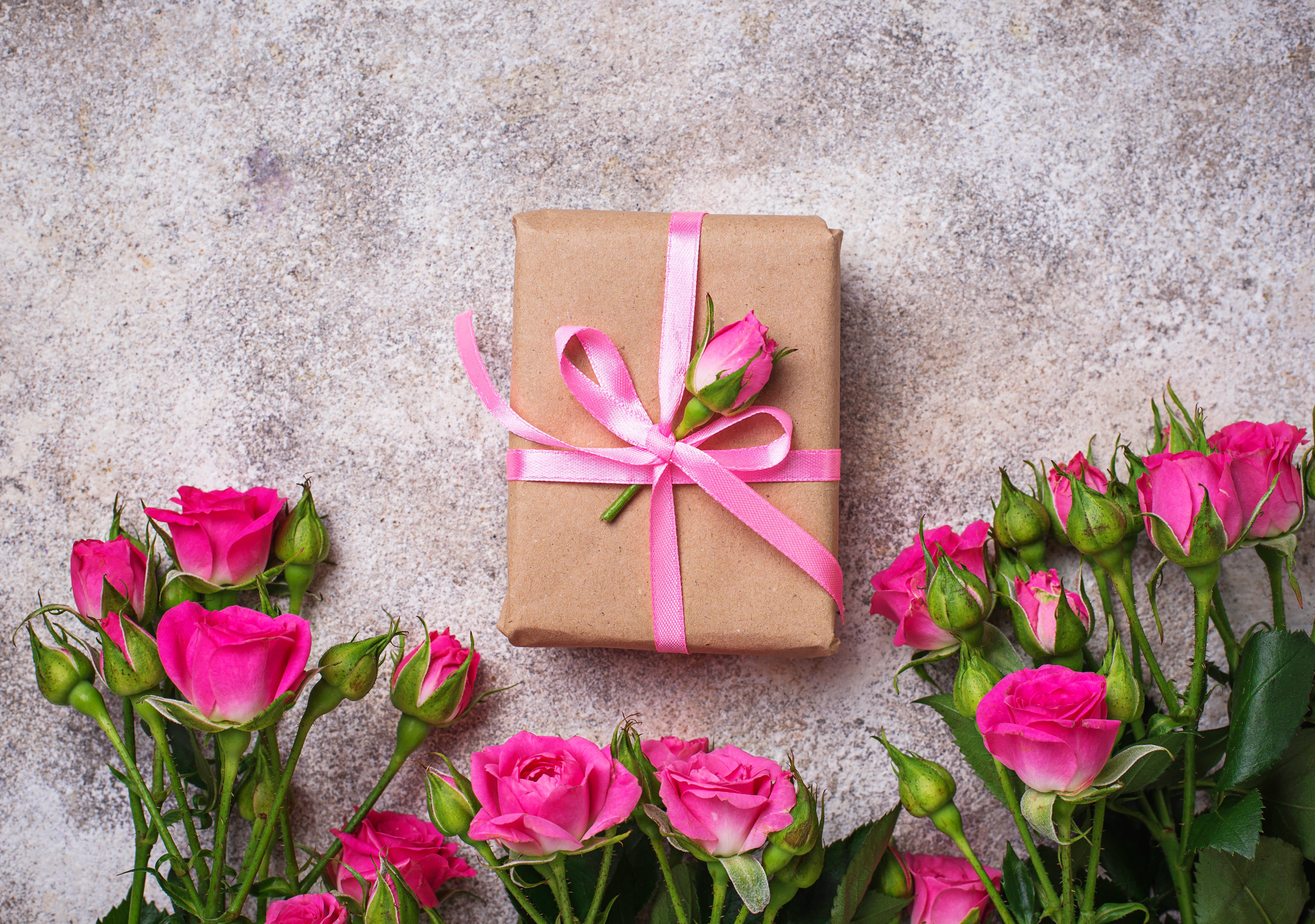 Laden Sie das Blume, Verschiedenes, Rose, Geschenk, Pinke Blume, Stillleben-Bild kostenlos auf Ihren PC-Desktop herunter