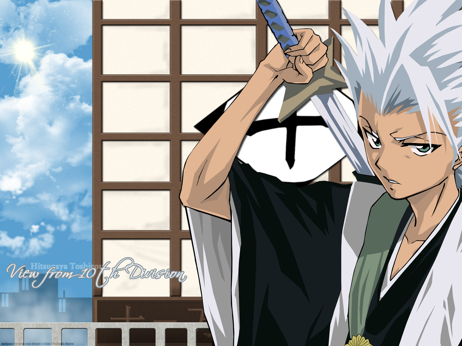 Download mobile wallpaper Anime, Bleach, Tōshirō Hitsugaya for free.