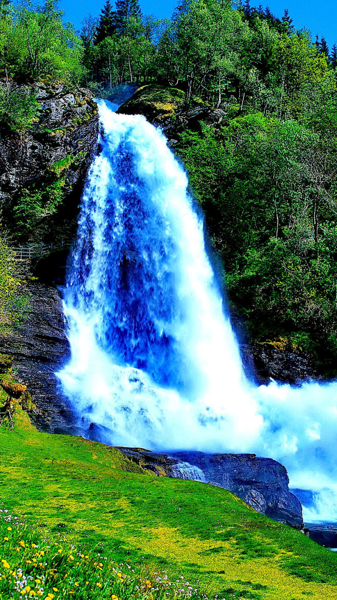 Download mobile wallpaper Grass, Waterfalls, Waterfall, Tree, Earth for free.