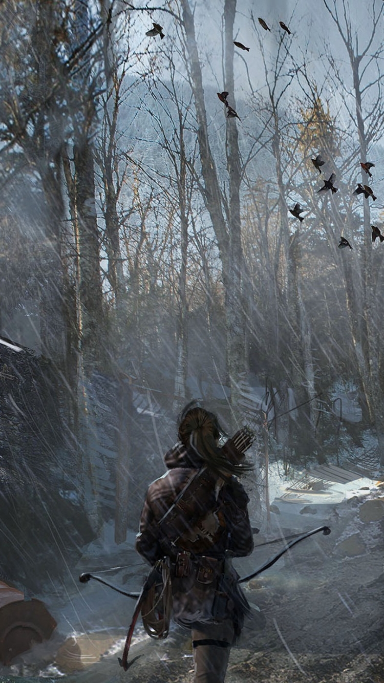 Handy-Wallpaper Rise Of The Tomb Raider, Lara Croft, Tomb Raider, Computerspiele kostenlos herunterladen.