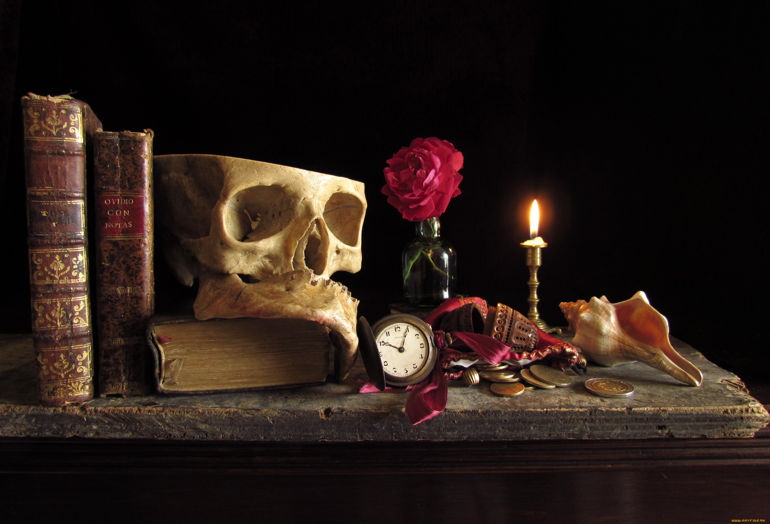 PC Wallpapers still life, background, death, black