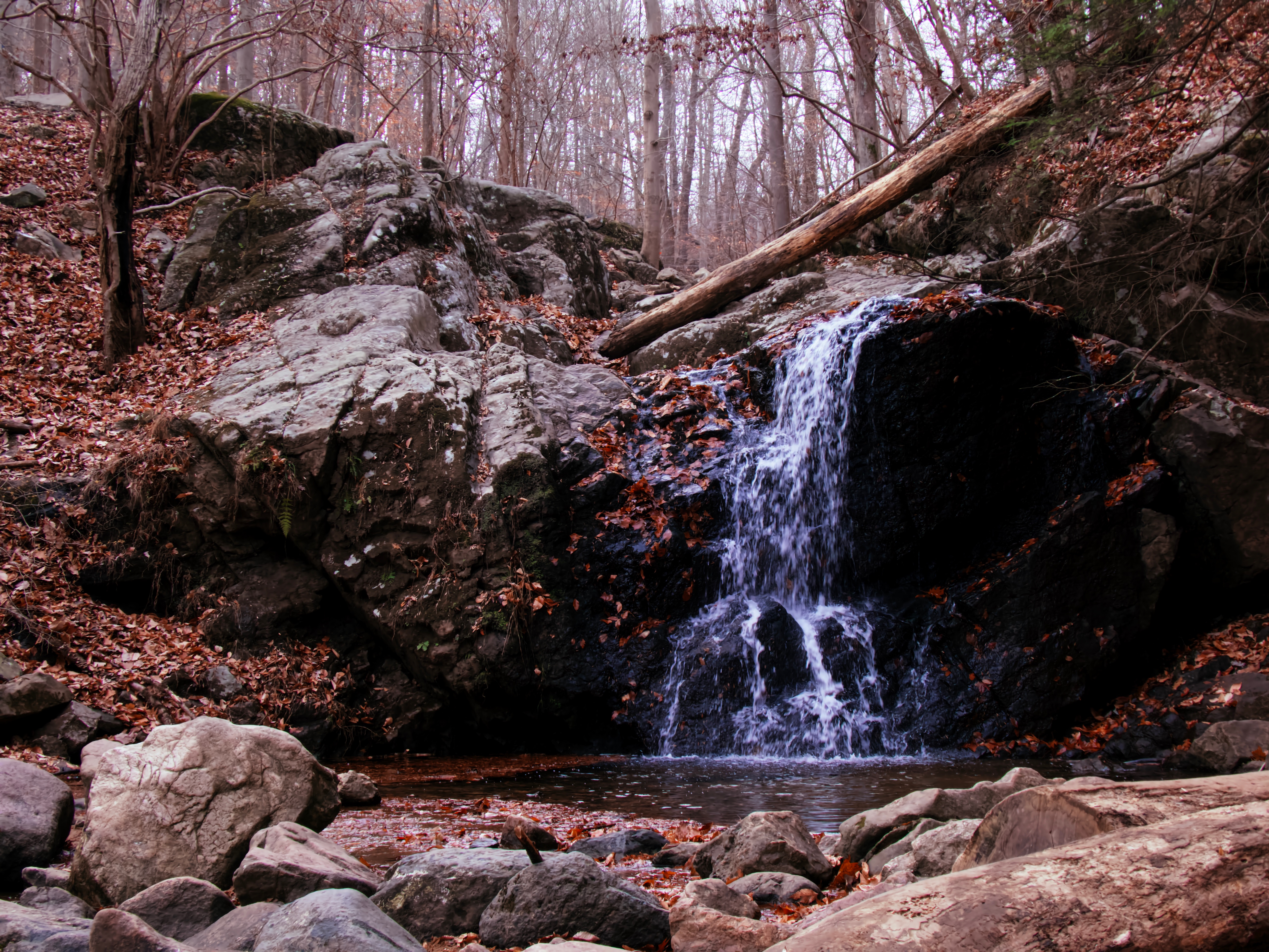 autumn, nature, rock, waterfall, creek, brook cellphone